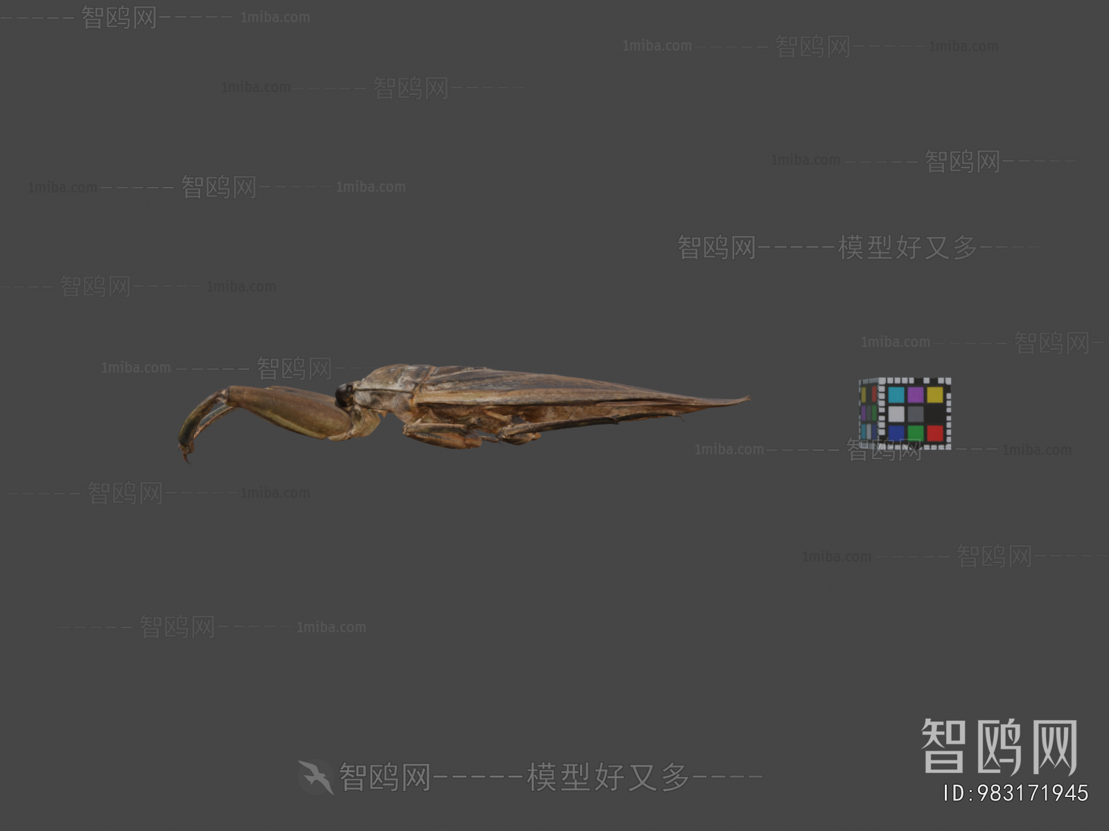 Modern Reptile
