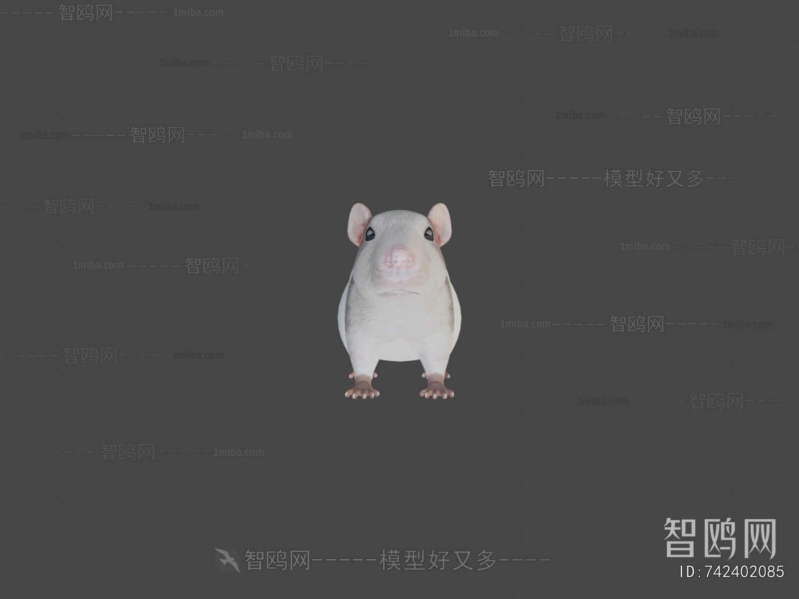 Modern Animal