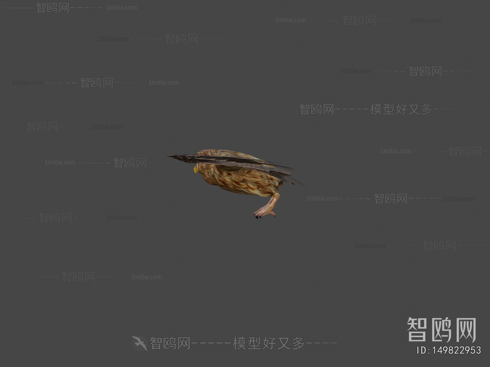 Modern Animal