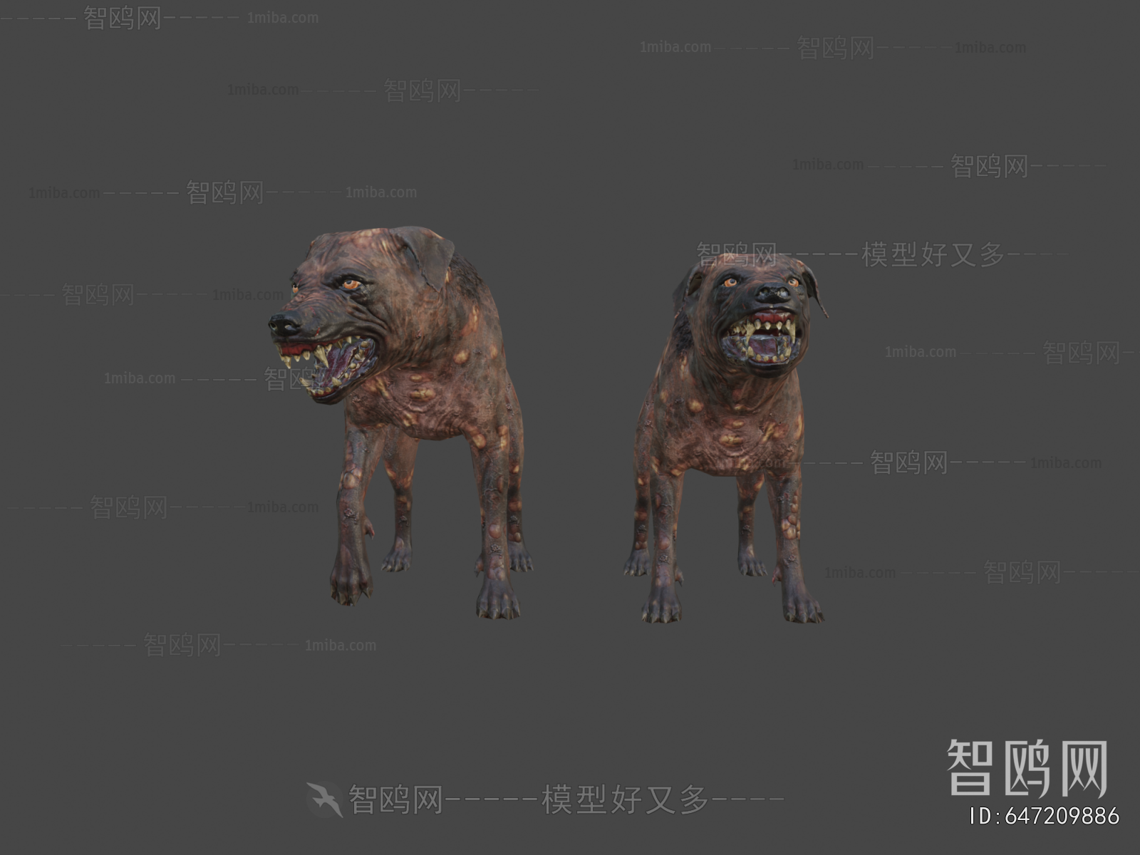 Modern Animal