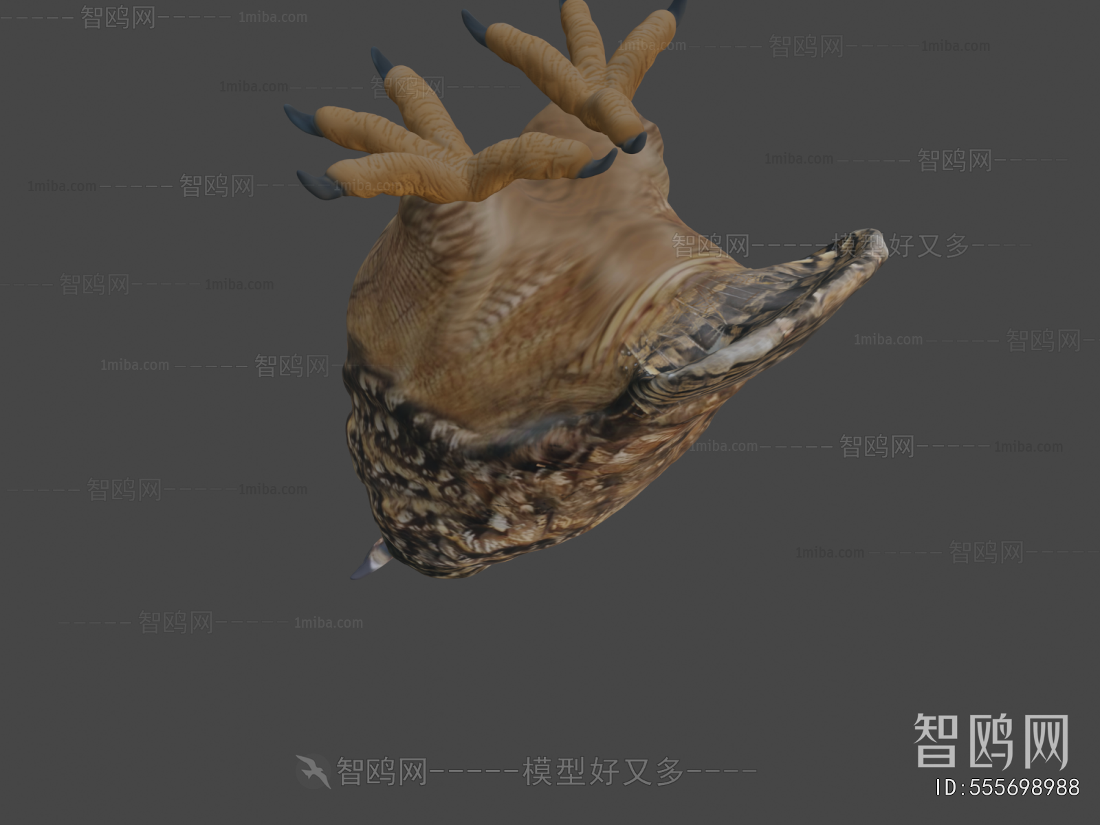 Modern Animal