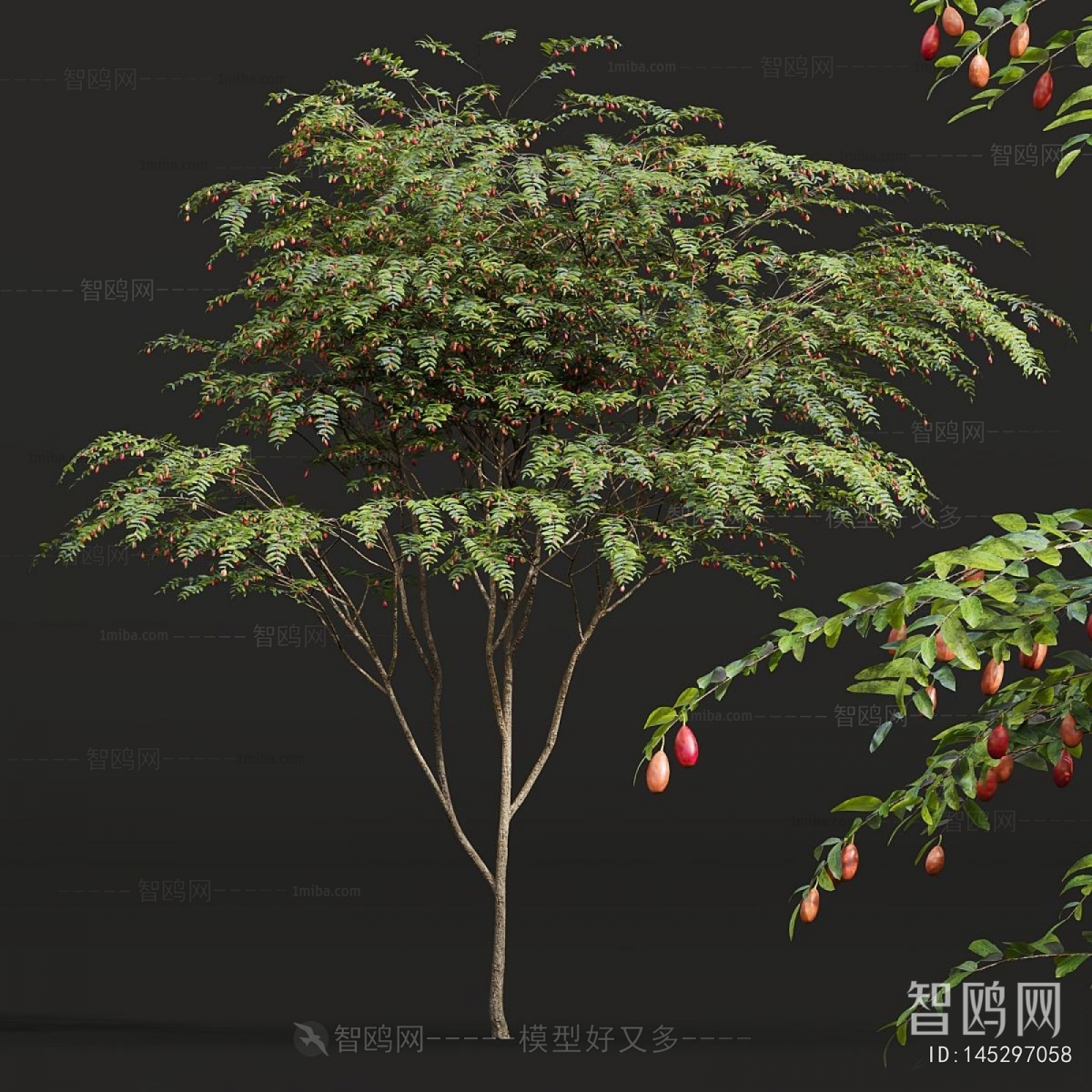 Modern Tree