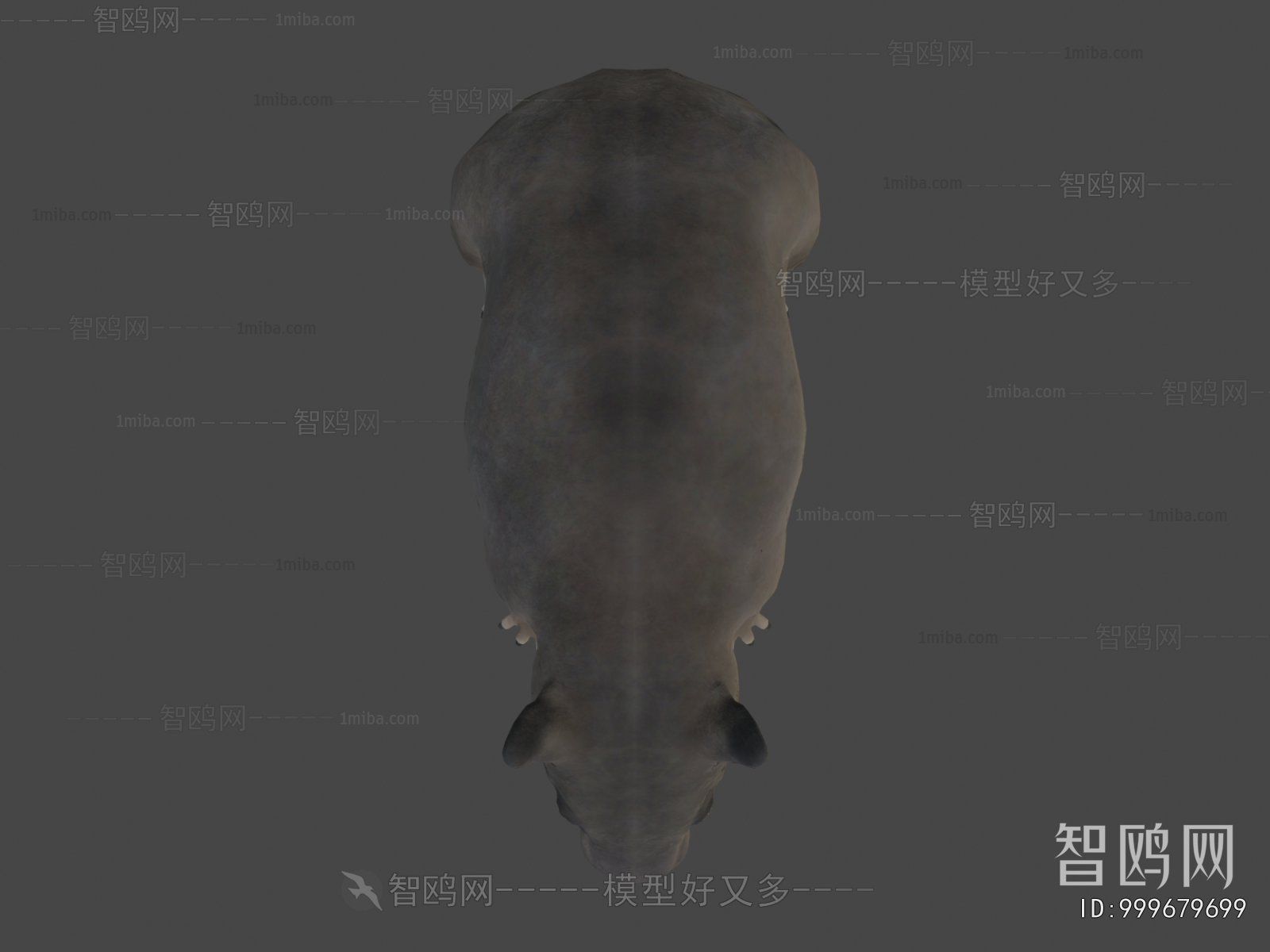 Modern Mammal