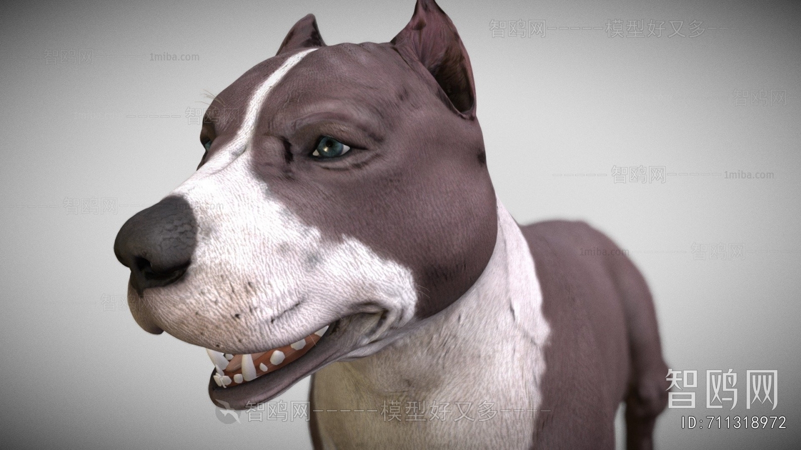 Modern Animal Dog