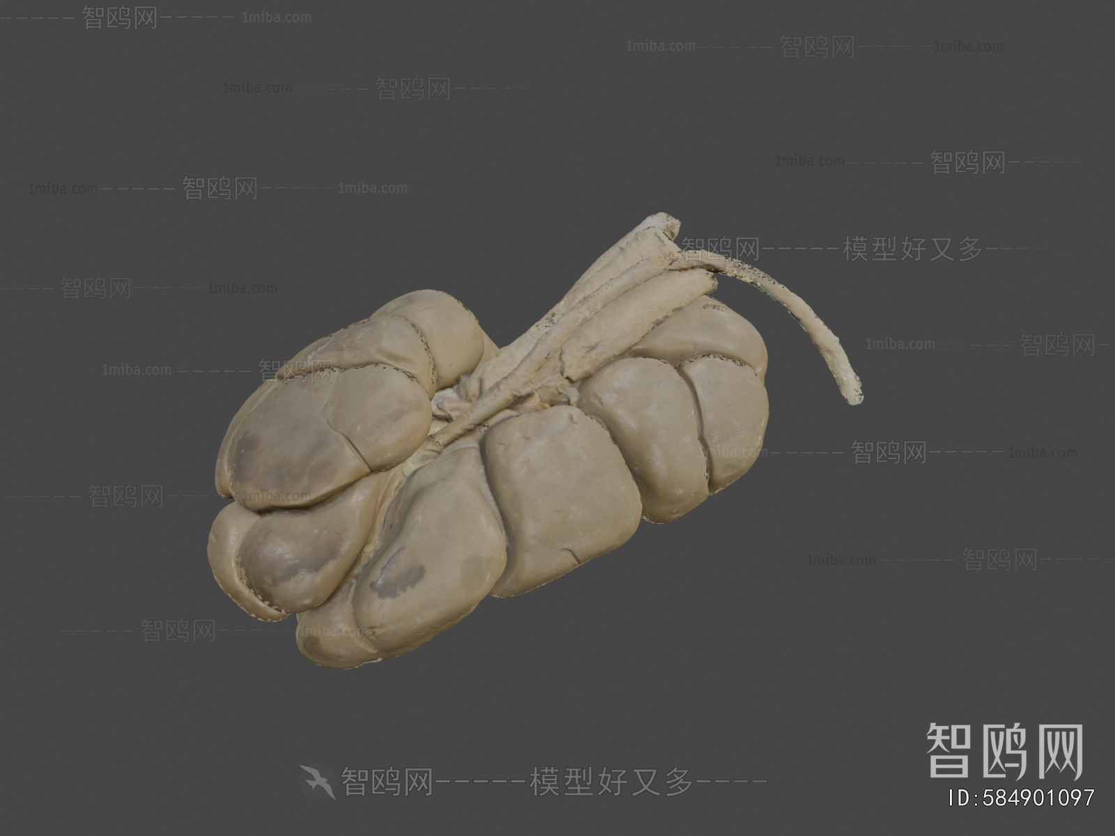 Modern Medical Equipment