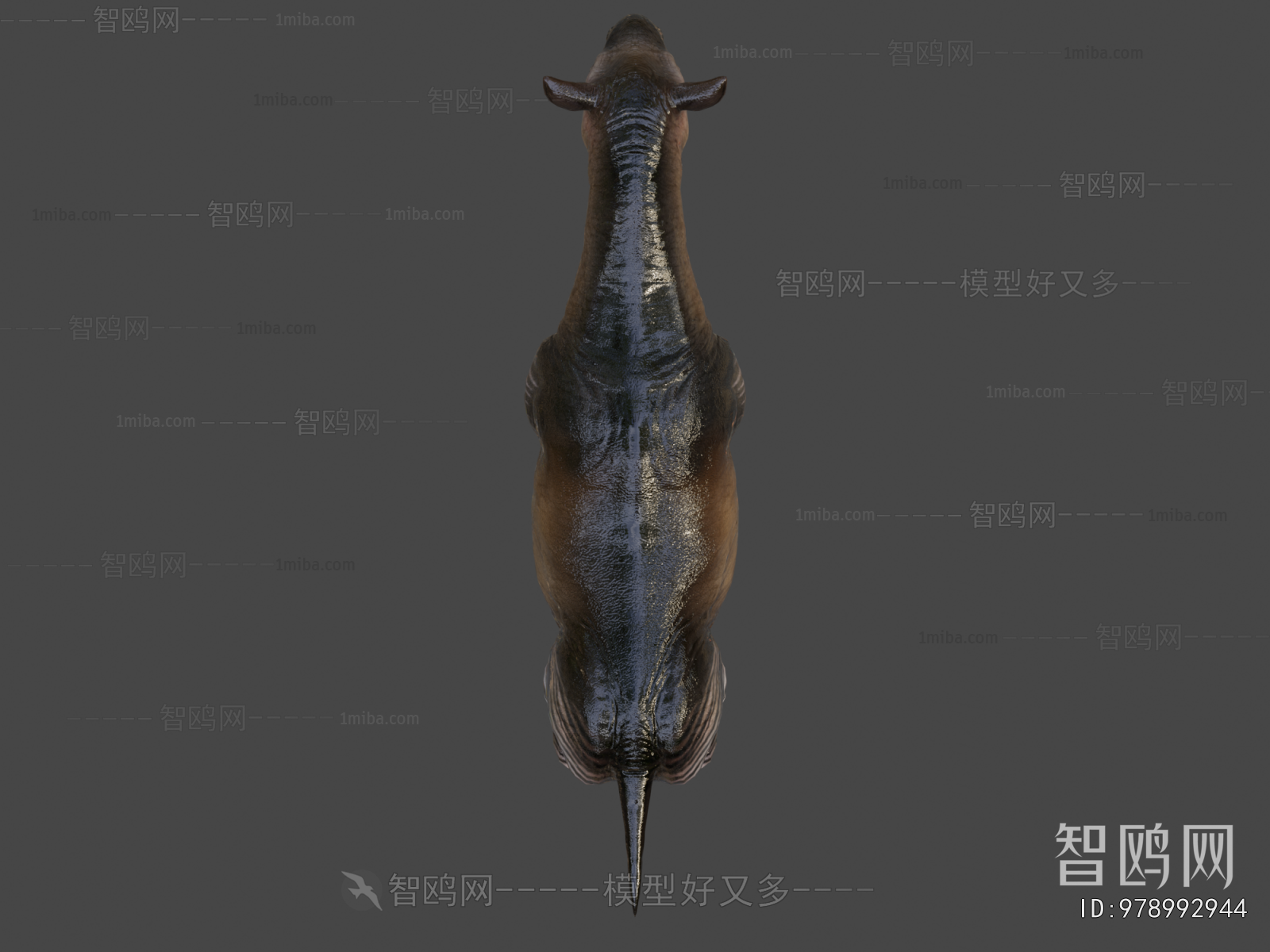 Modern Mammal