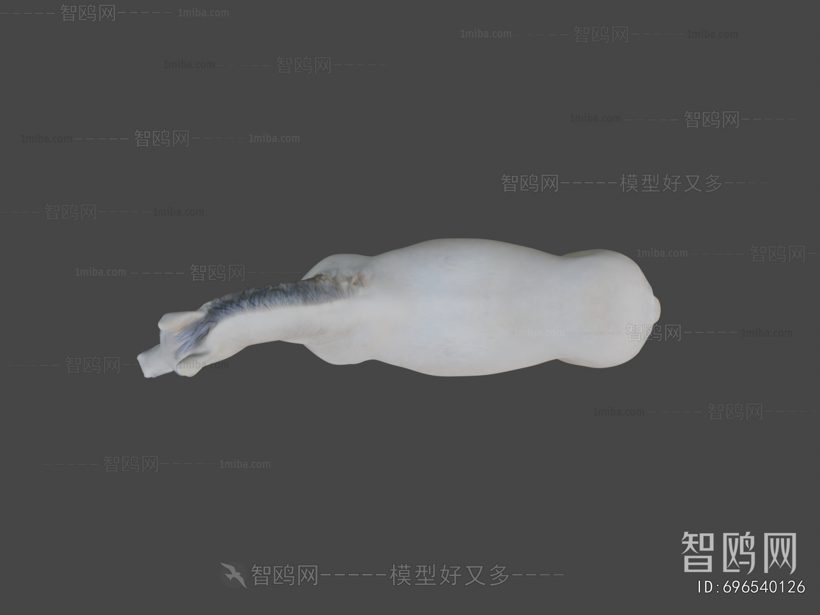 Modern Mammal