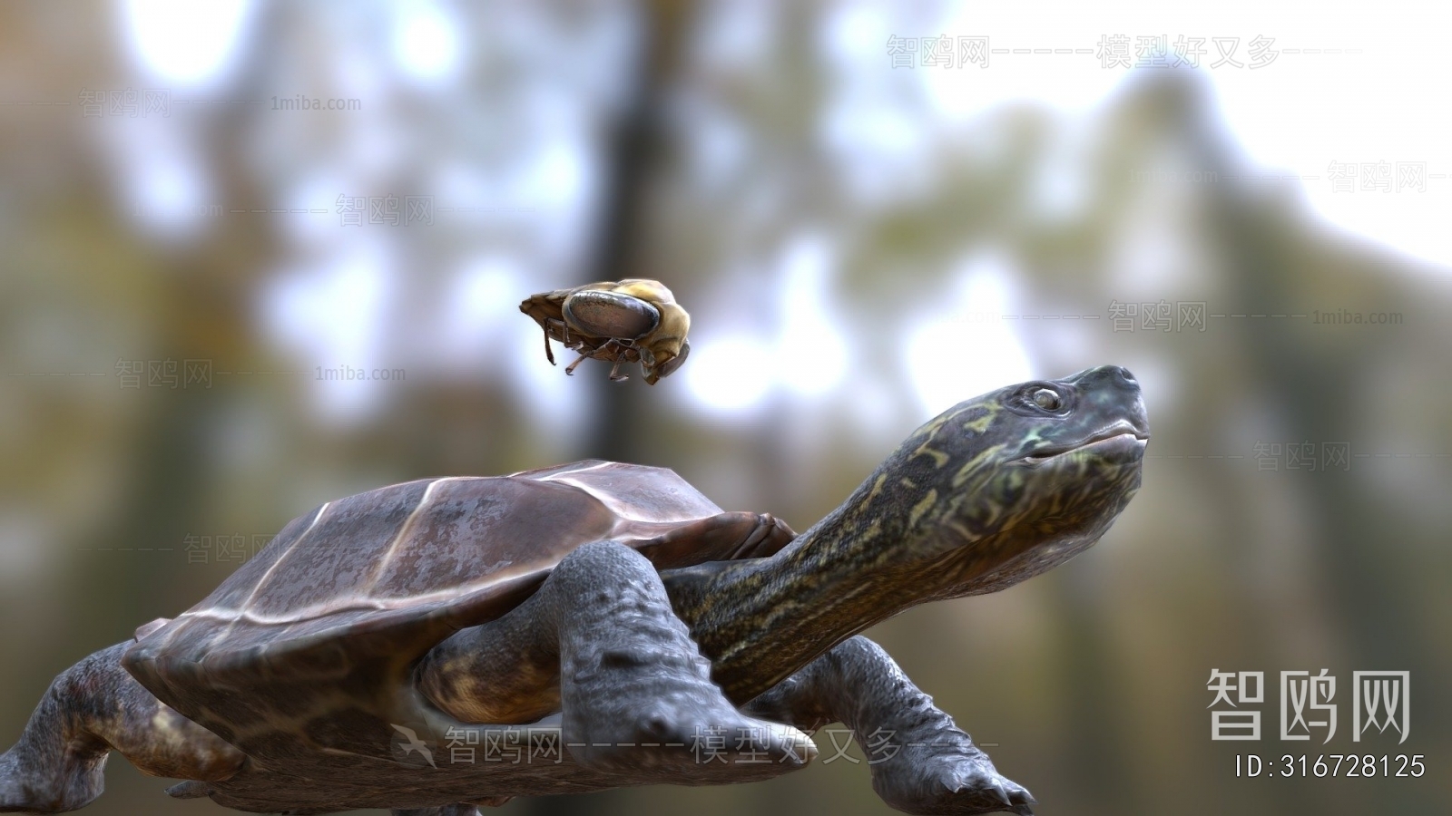 Modern Reptile