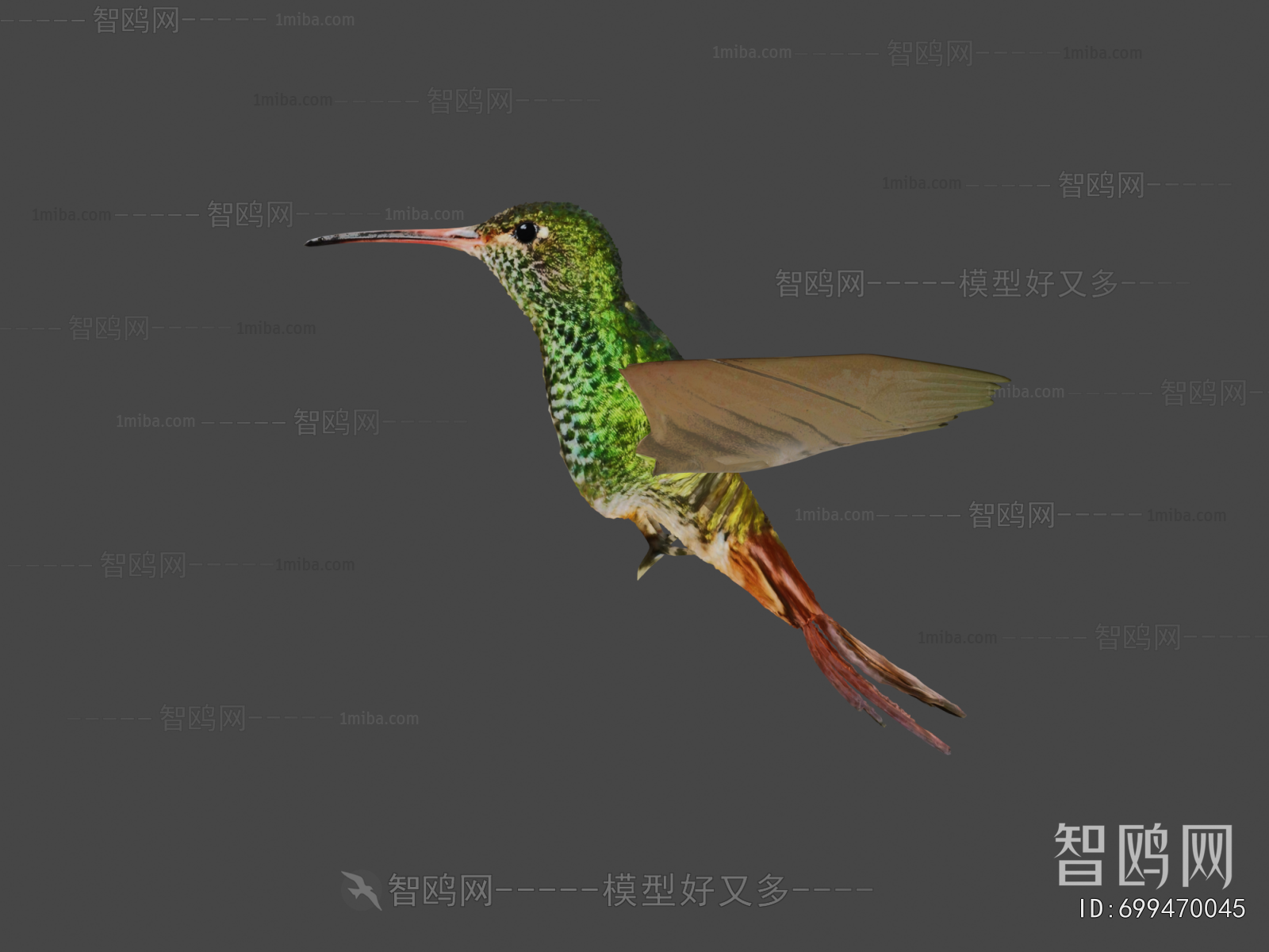 Modern Animal
