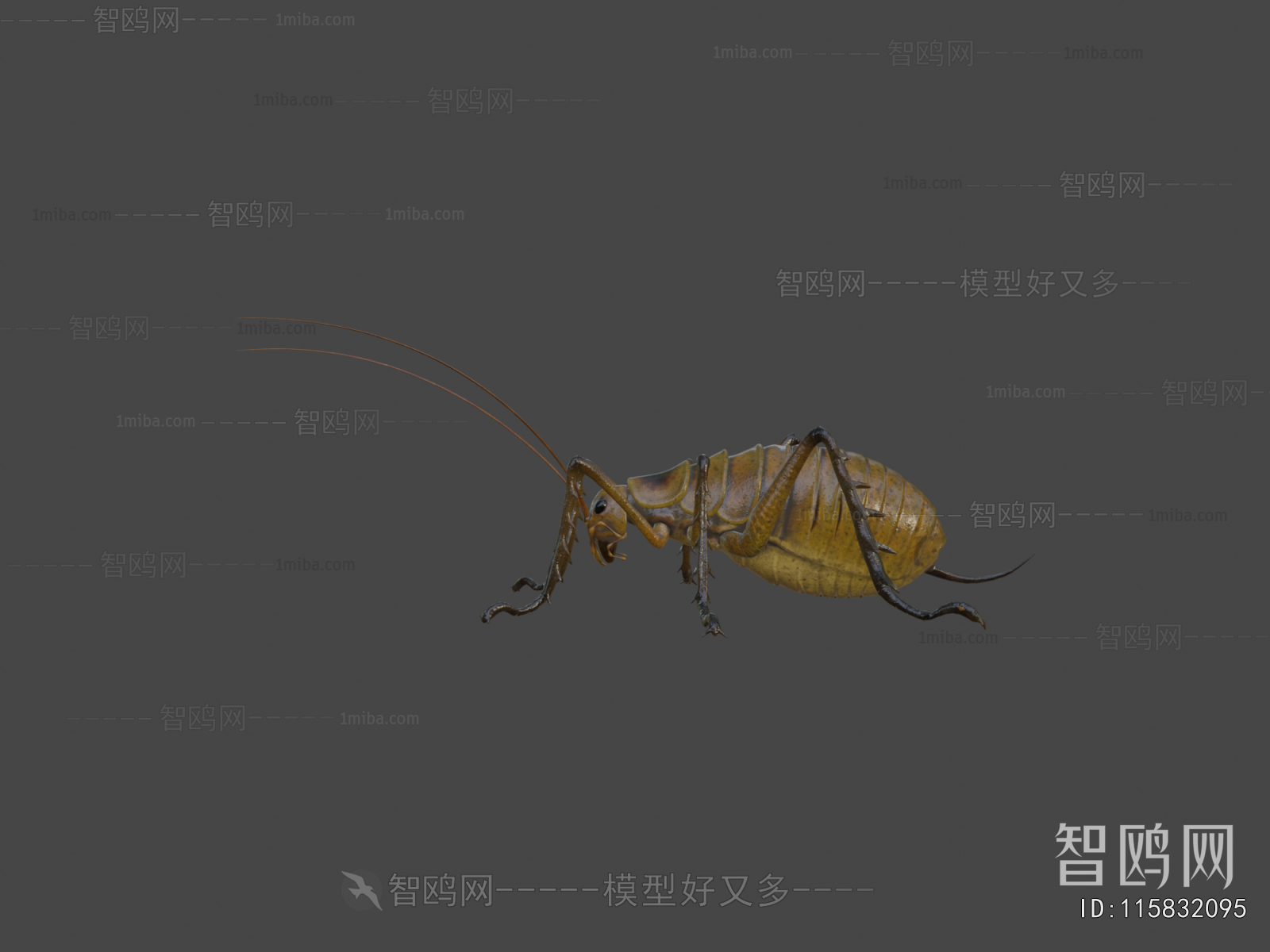 Modern Animal