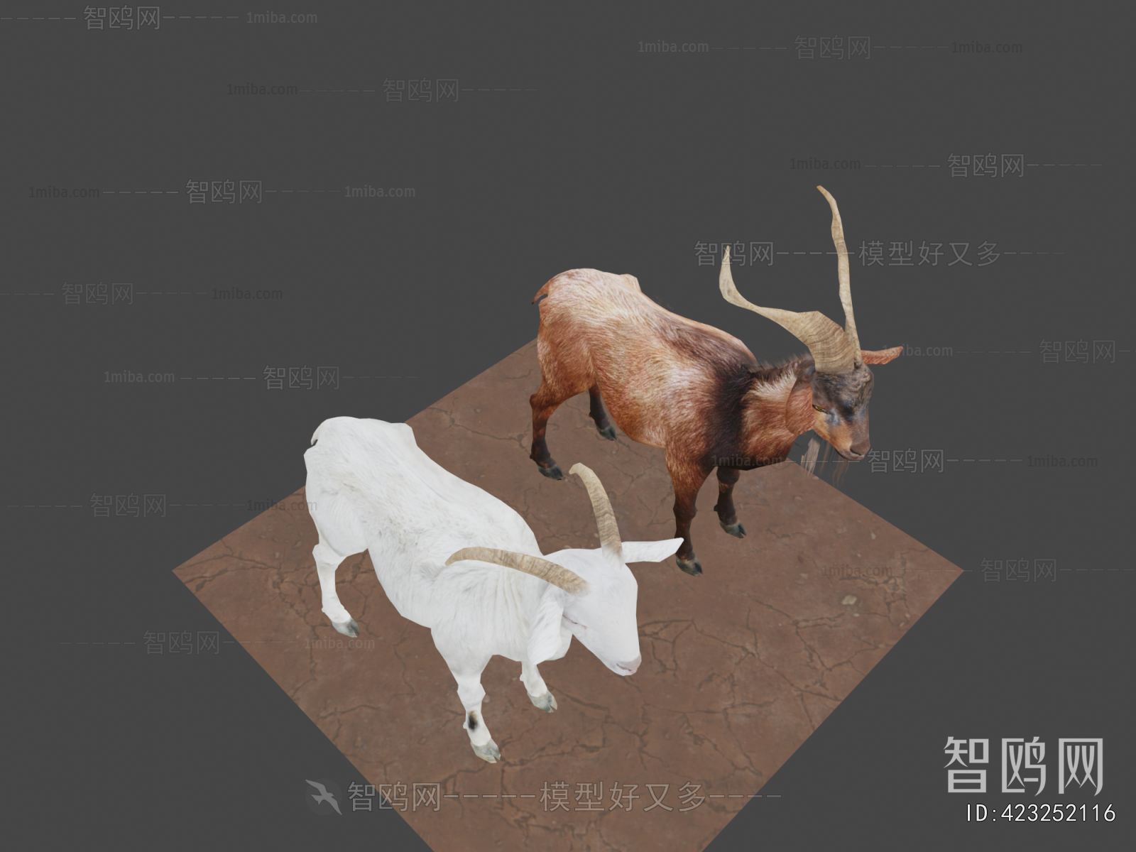 Modern Mammal