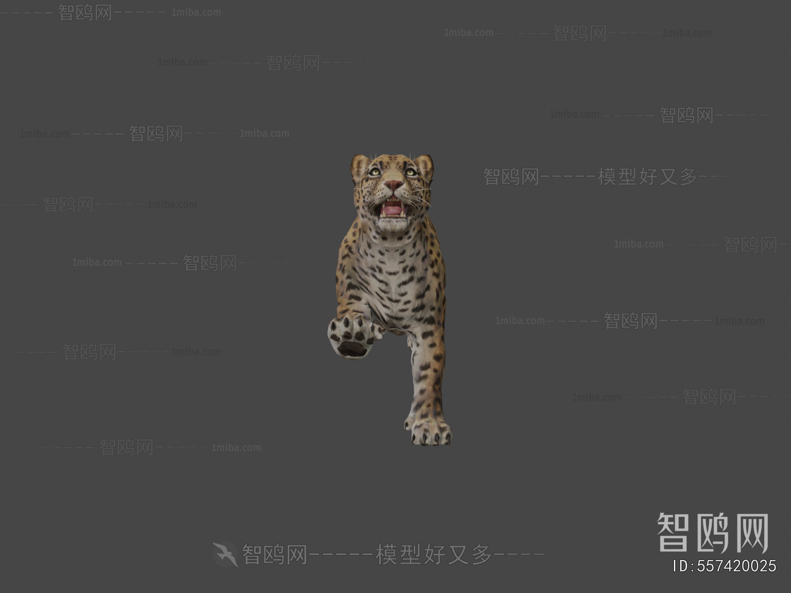 Modern Animal