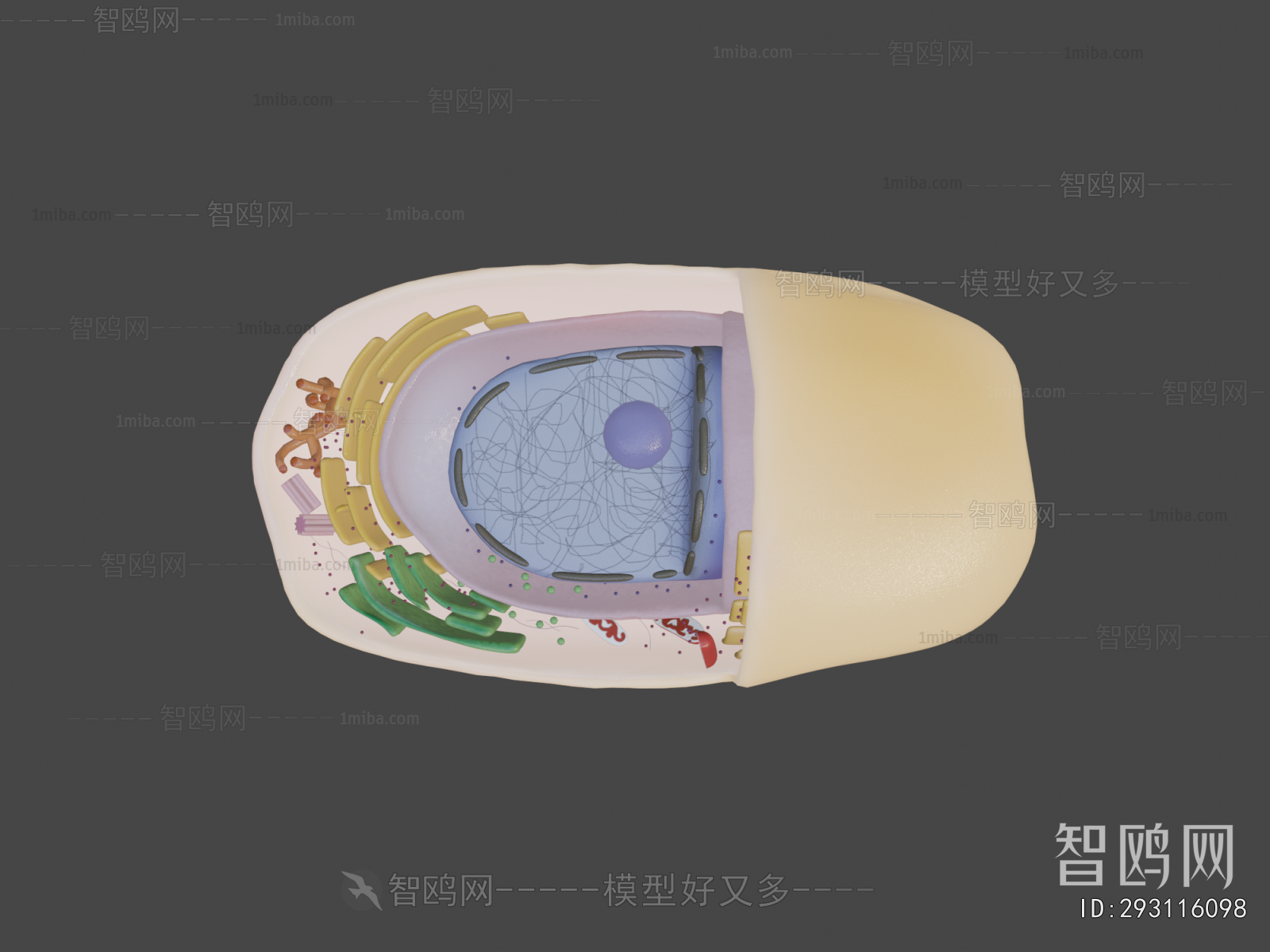 Modern Medical Equipment