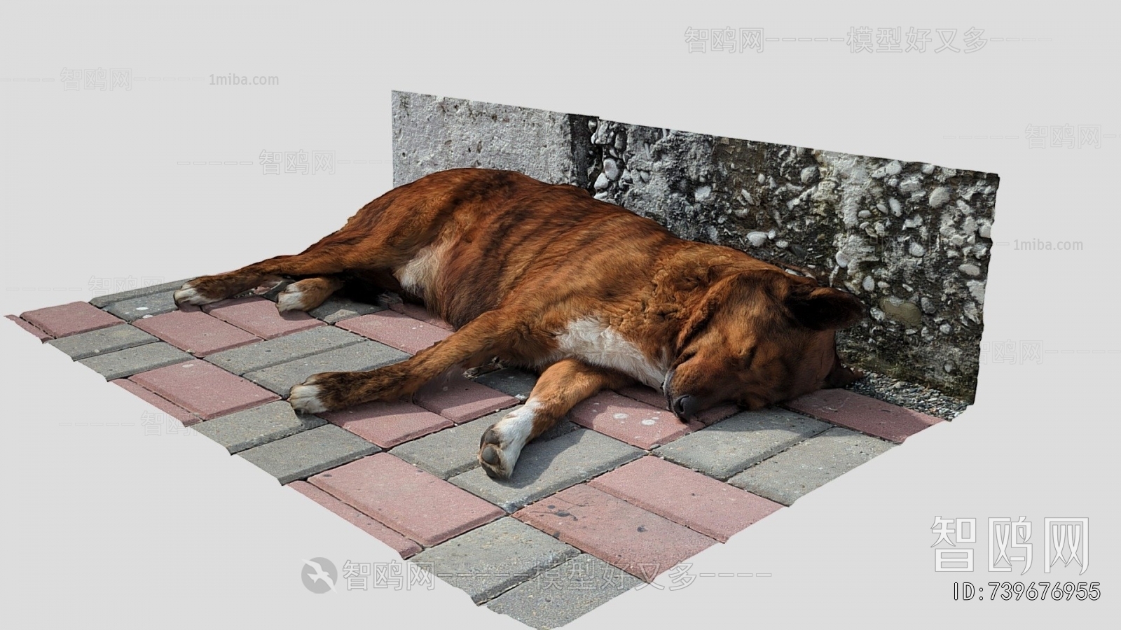 Modern Animal Dog