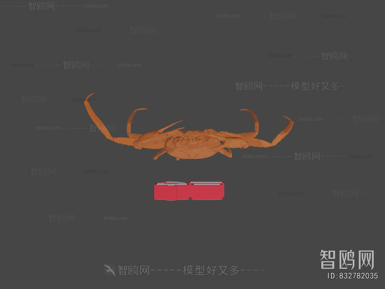 Modern Animal