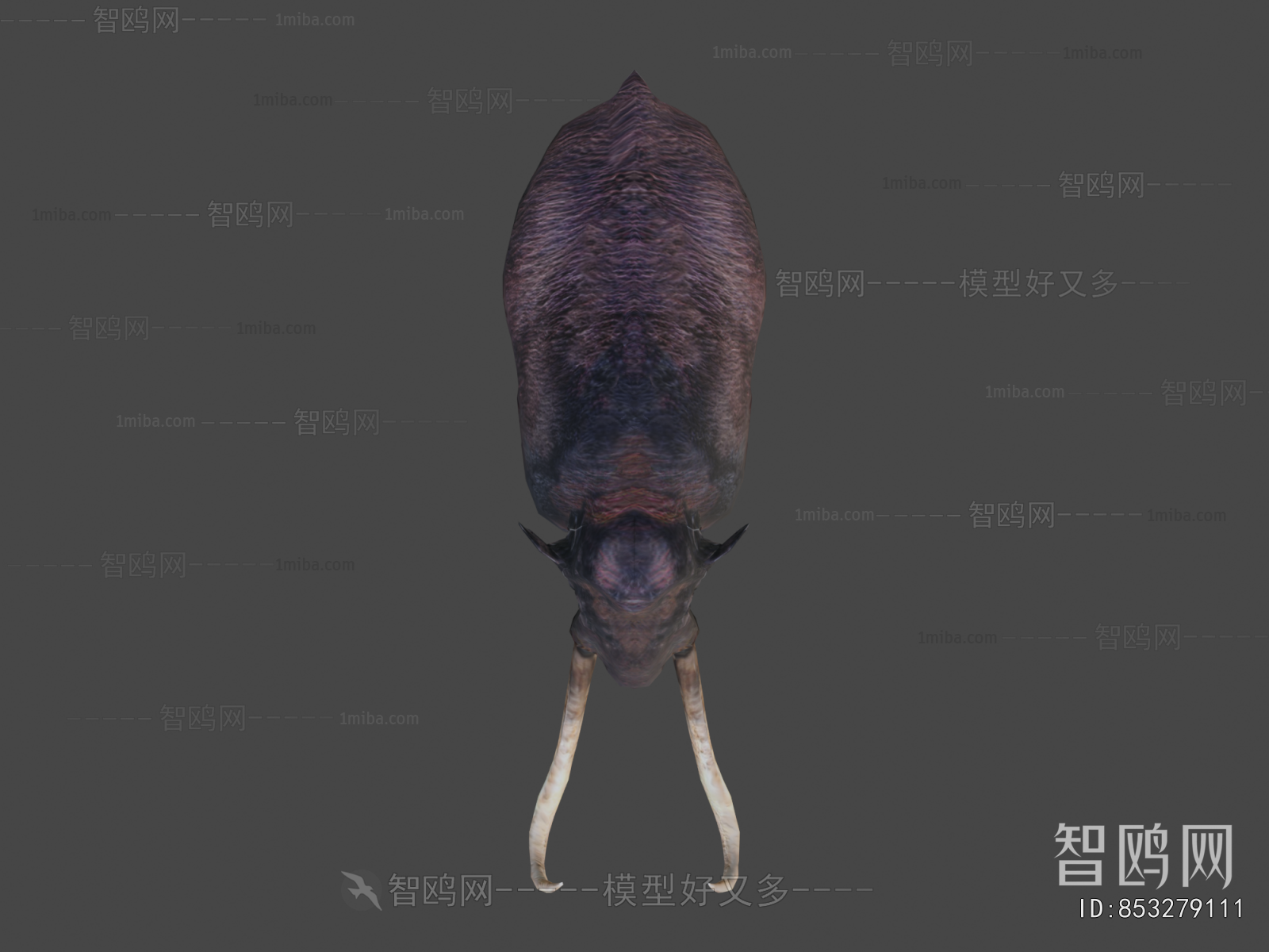 Modern Mammal