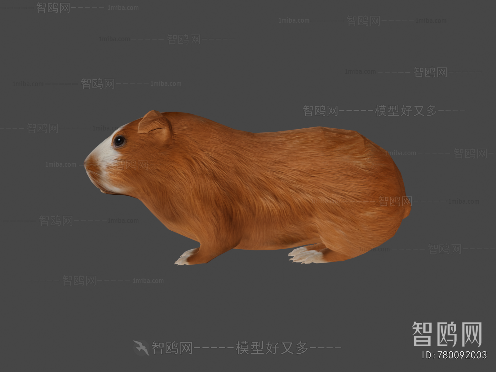 Modern Animal