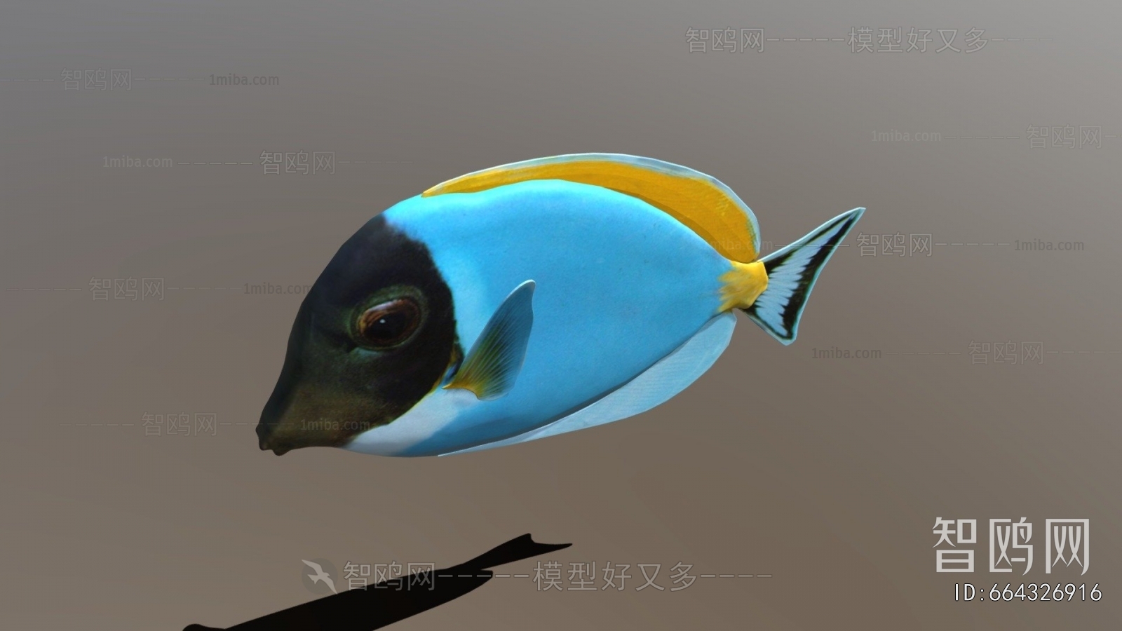 Modern Animal