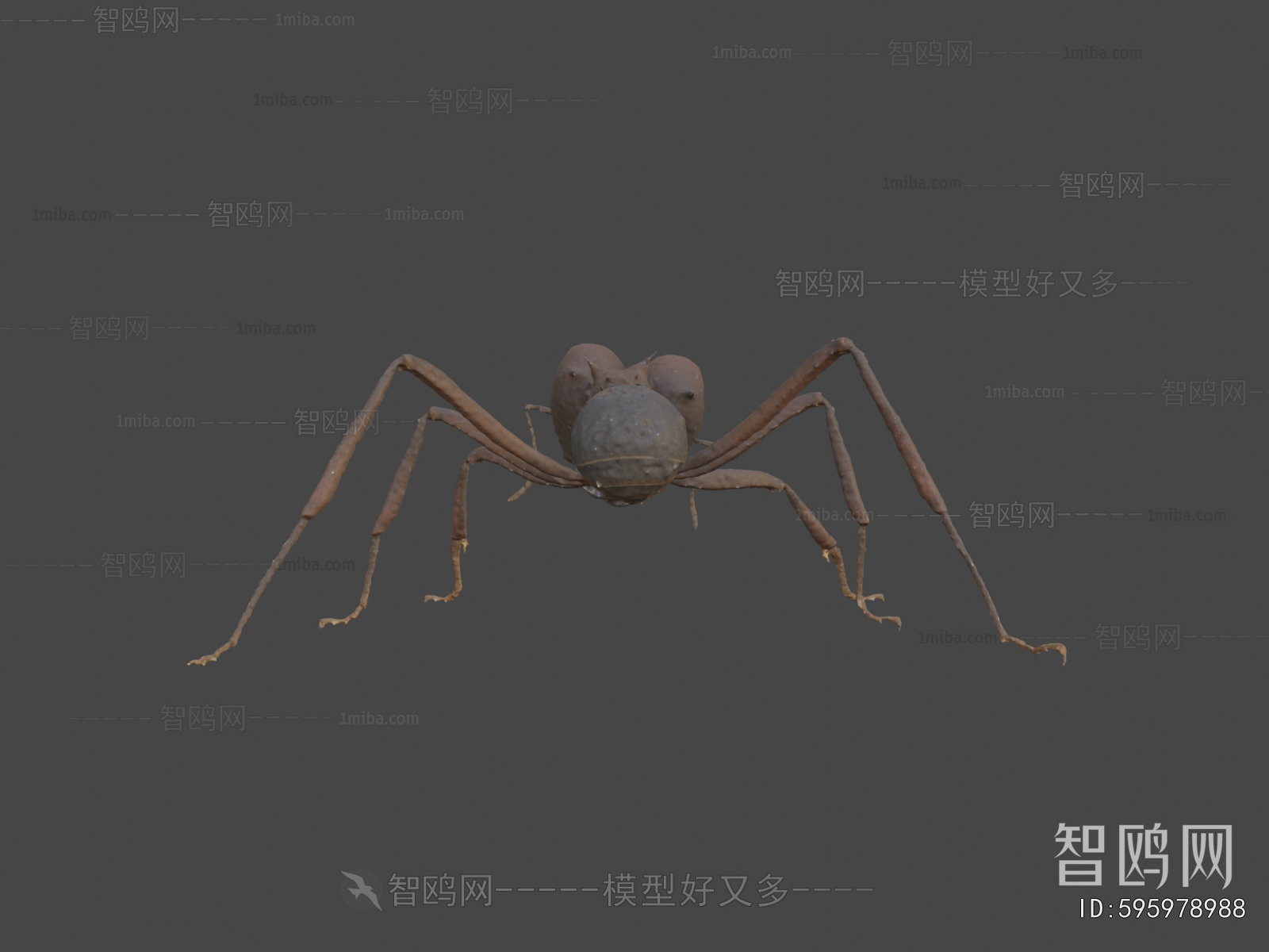 Modern Animal