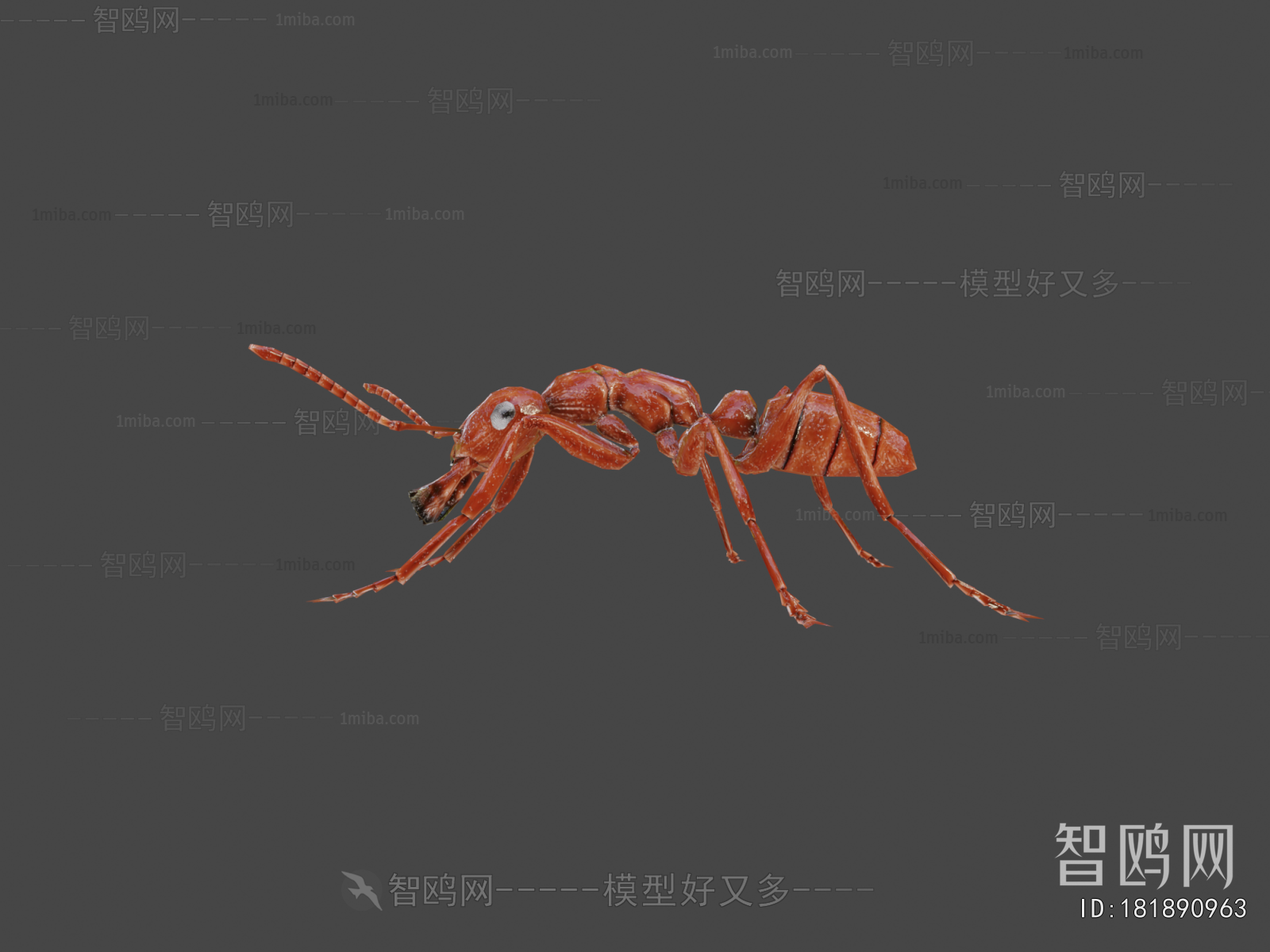 Modern Animal
