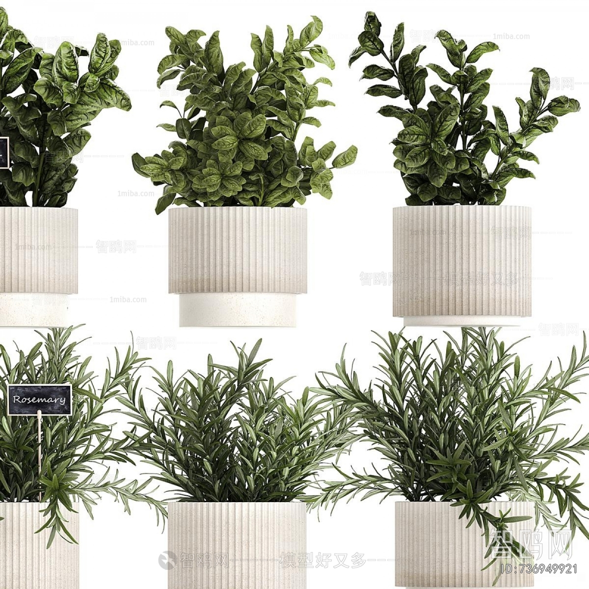 Modern Potted Green Plant