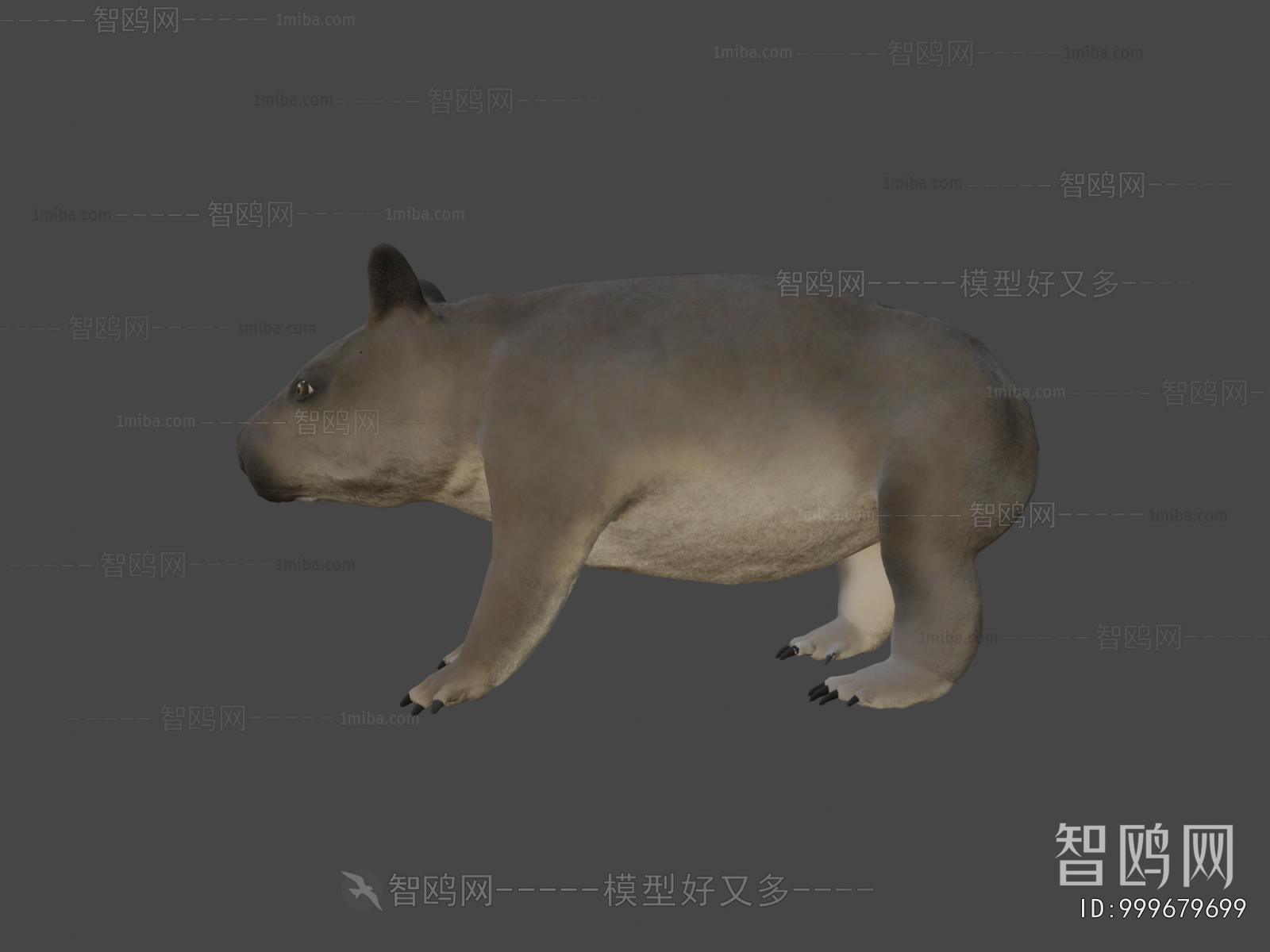 Modern Mammal