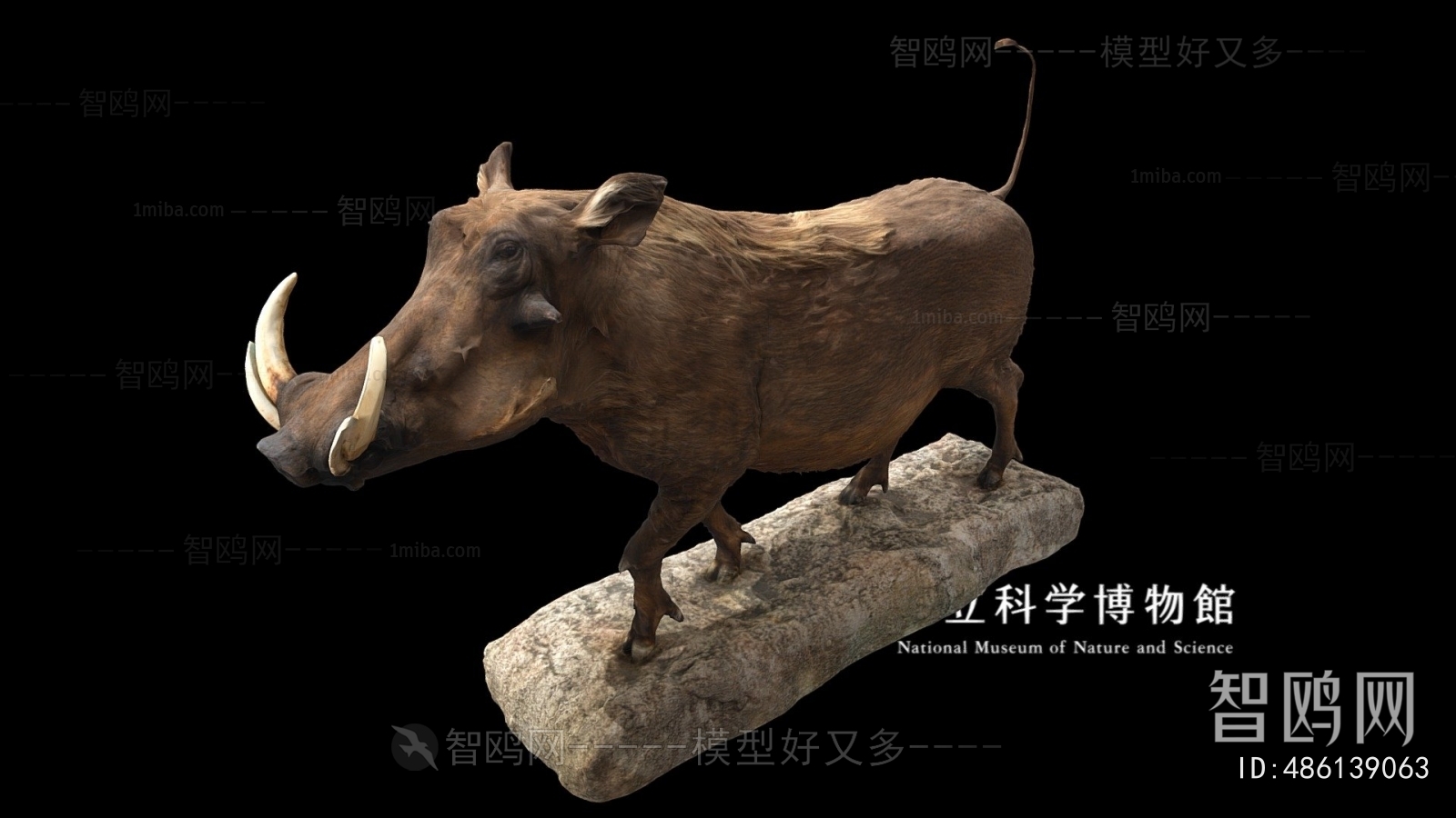 Modern Animal