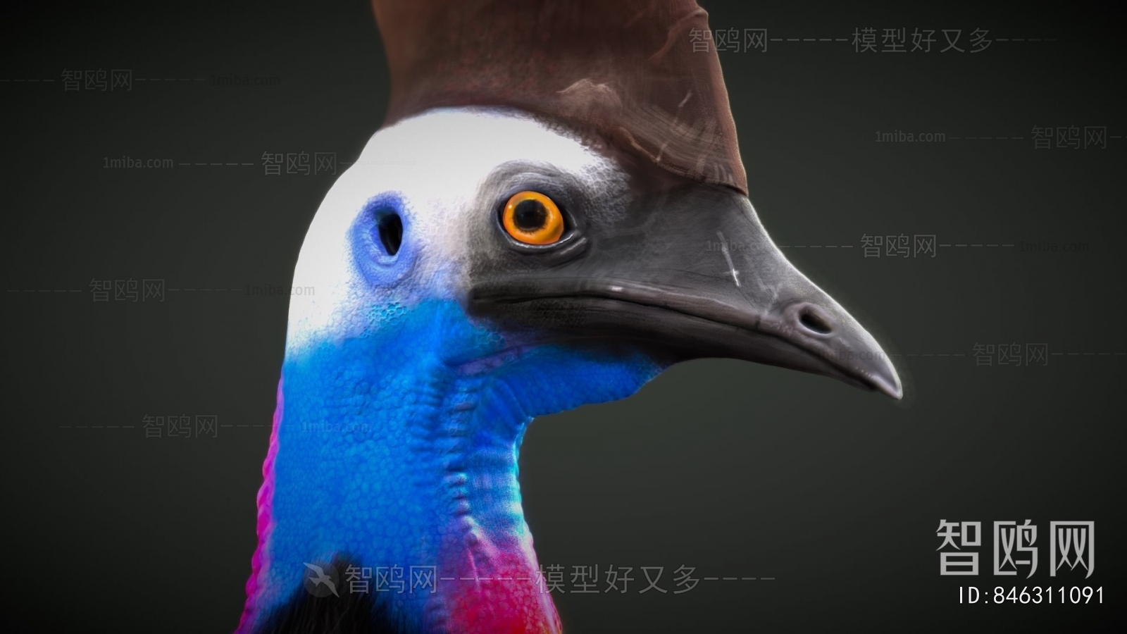 Modern Animal