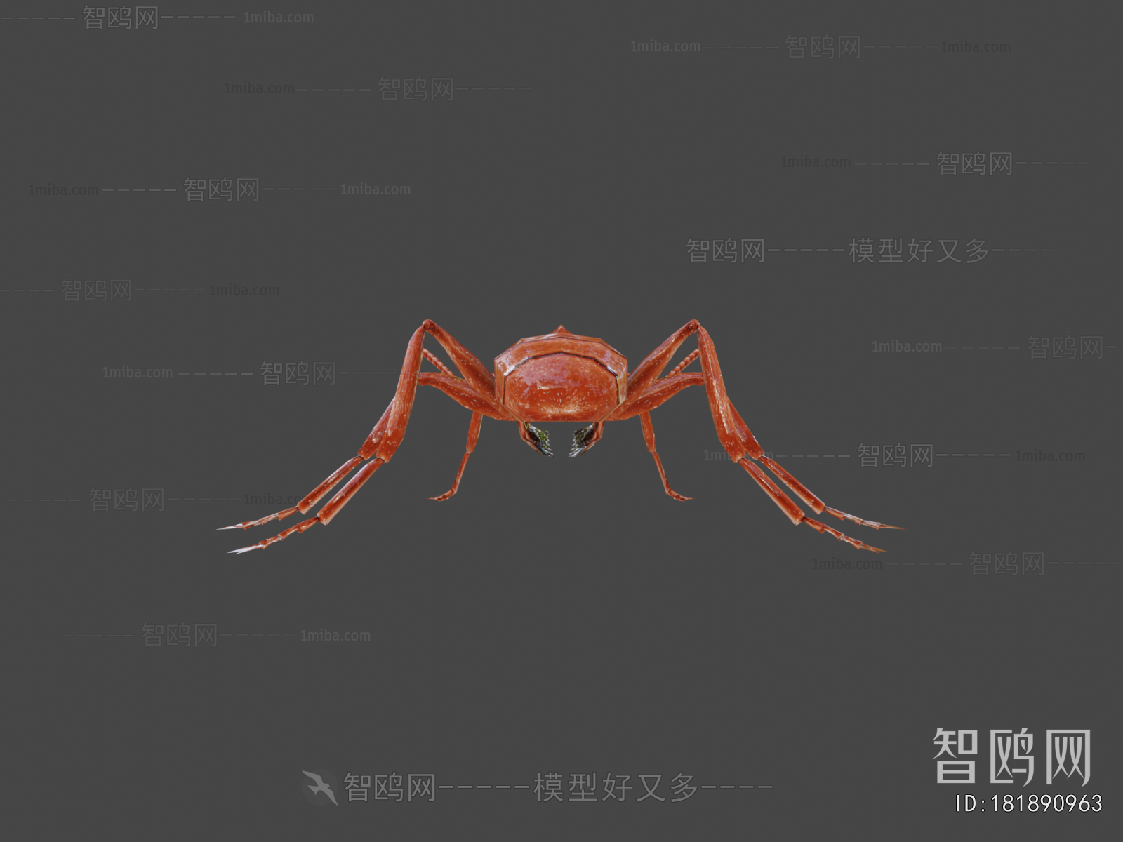 Modern Animal