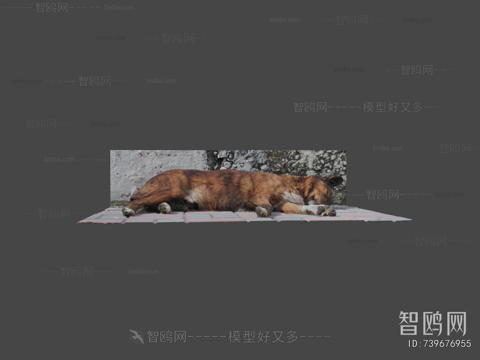 Modern Animal Dog