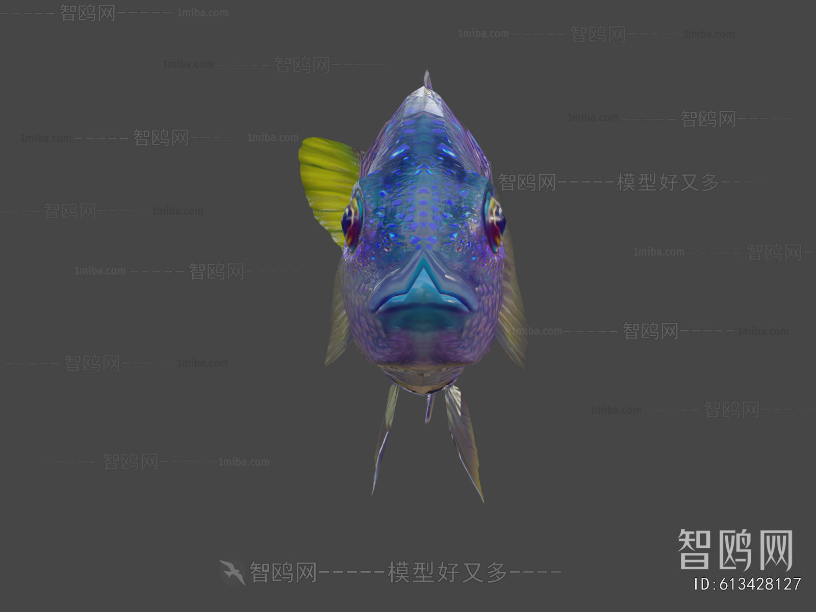 Modern Aquatic Animals