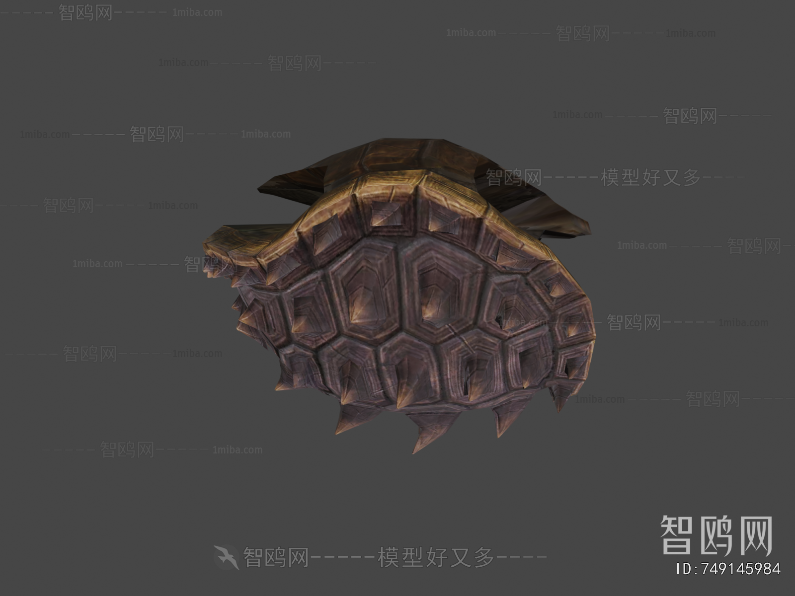 Modern Reptile