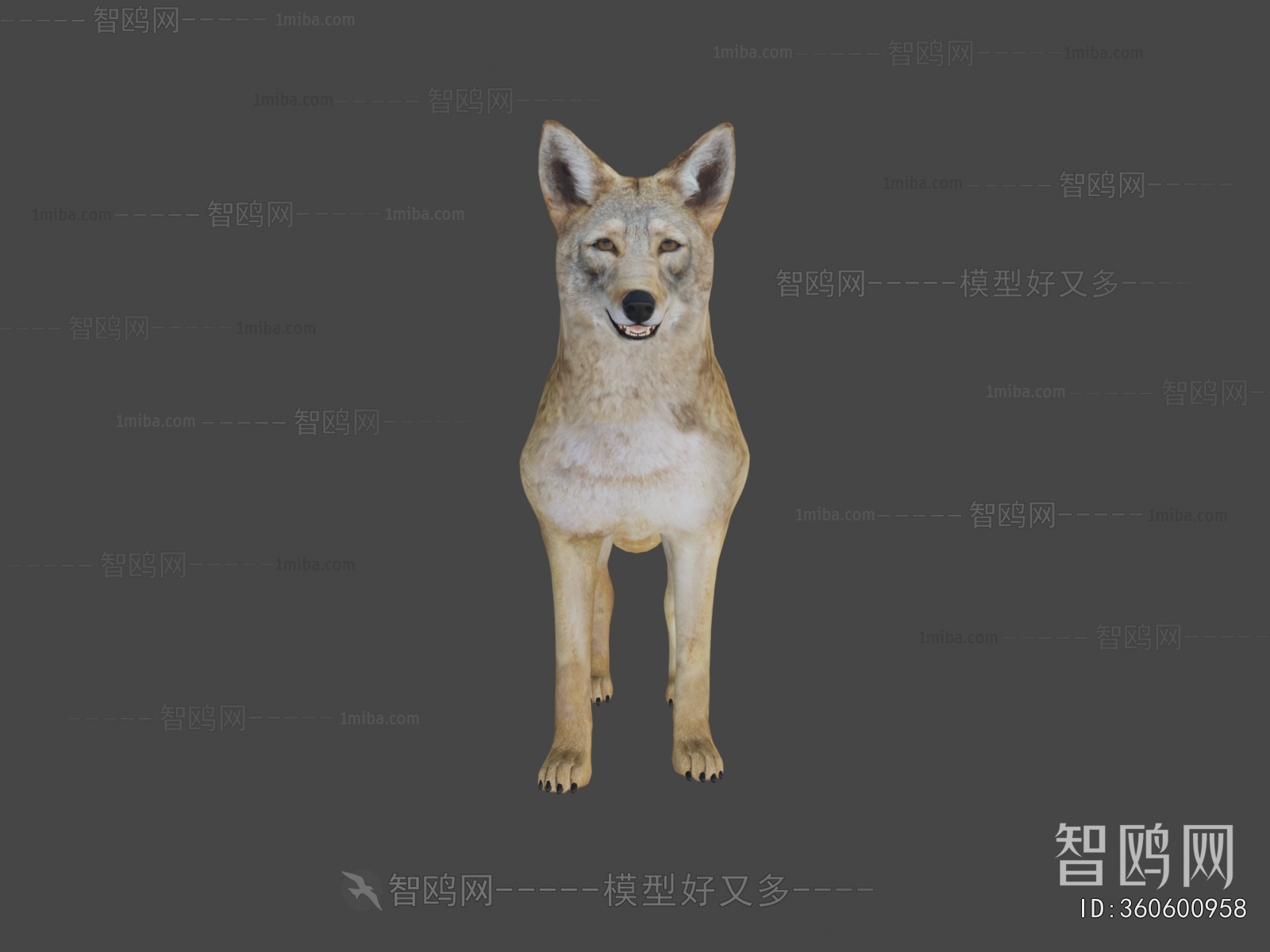Modern Animal