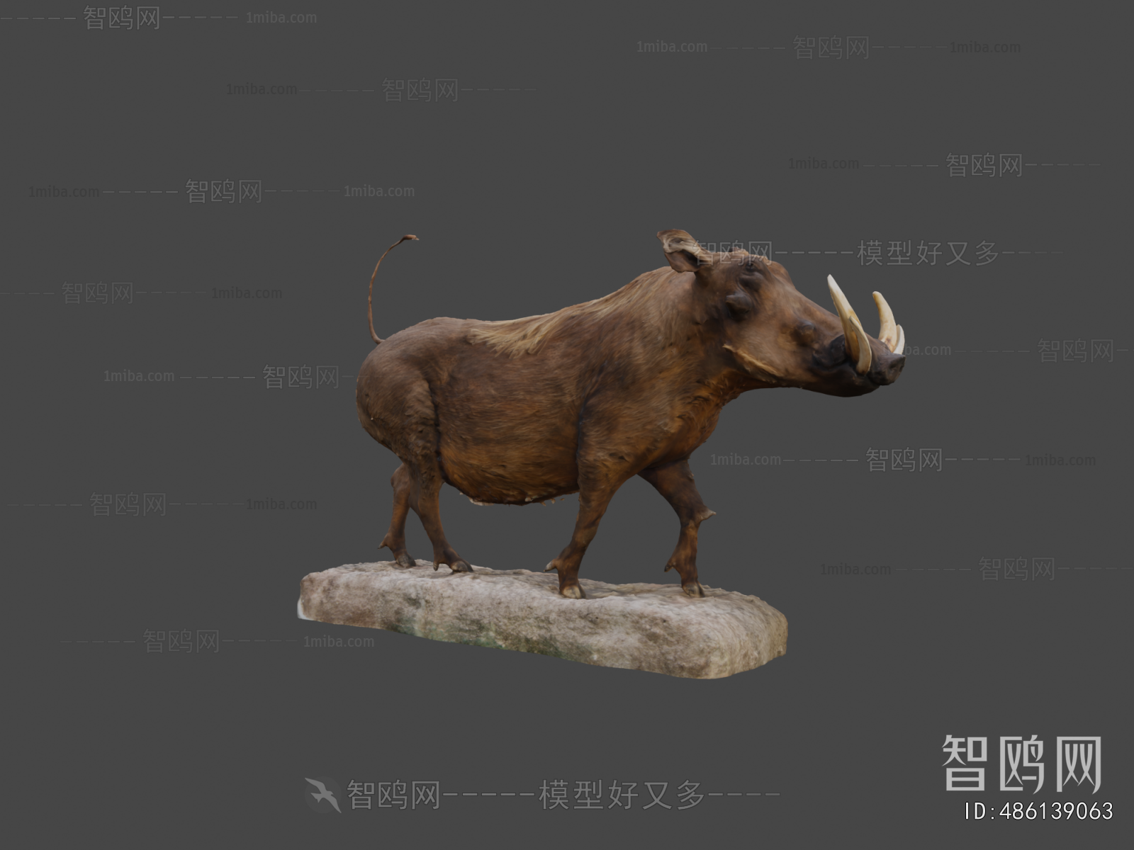 Modern Animal