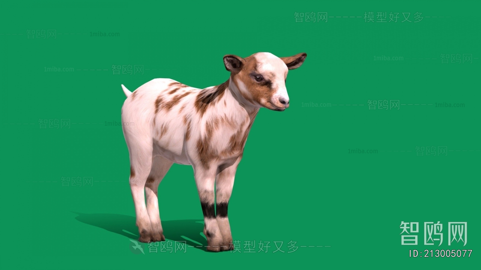 Modern Mammal