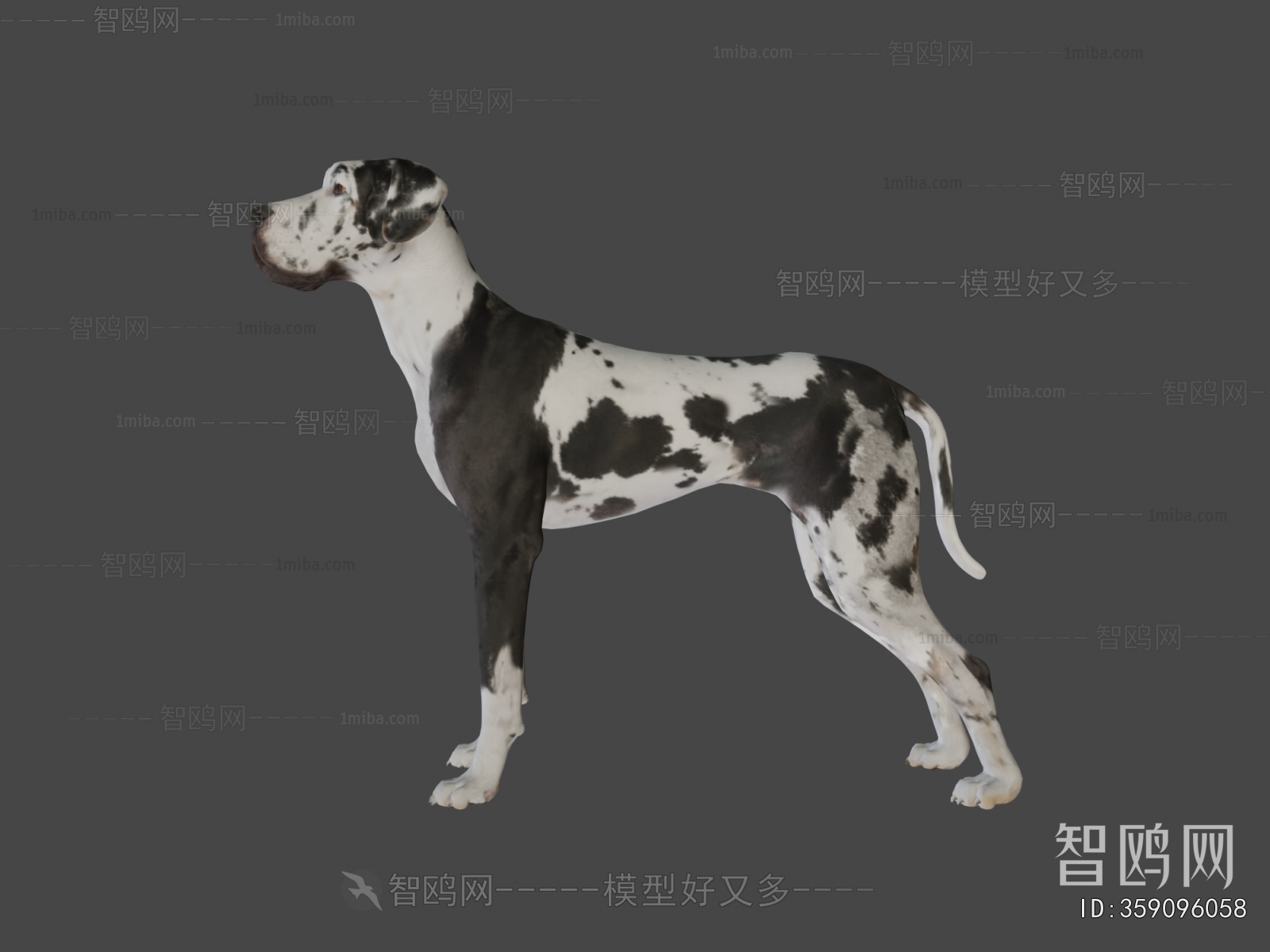 Modern Animal