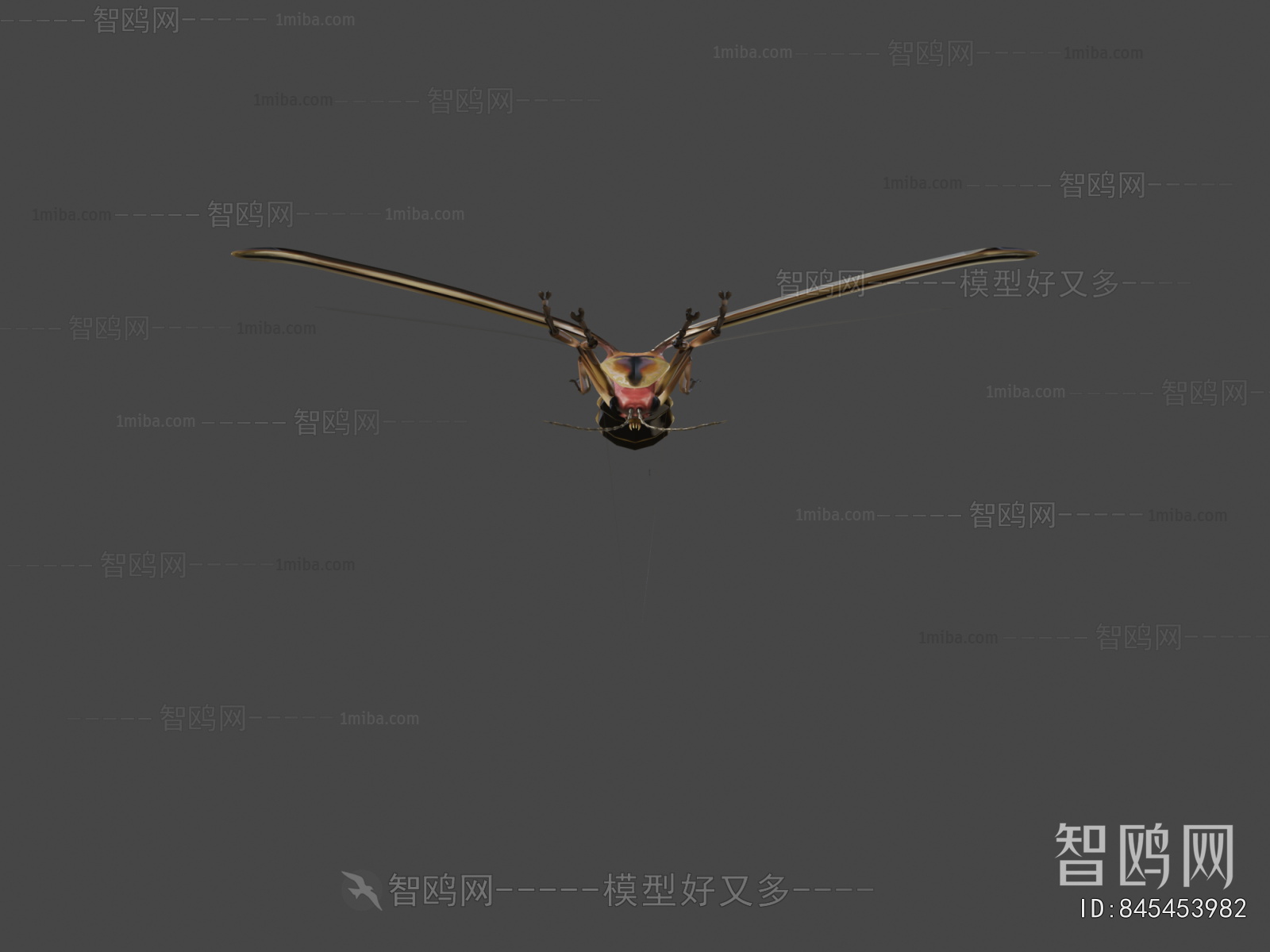 Modern Animal