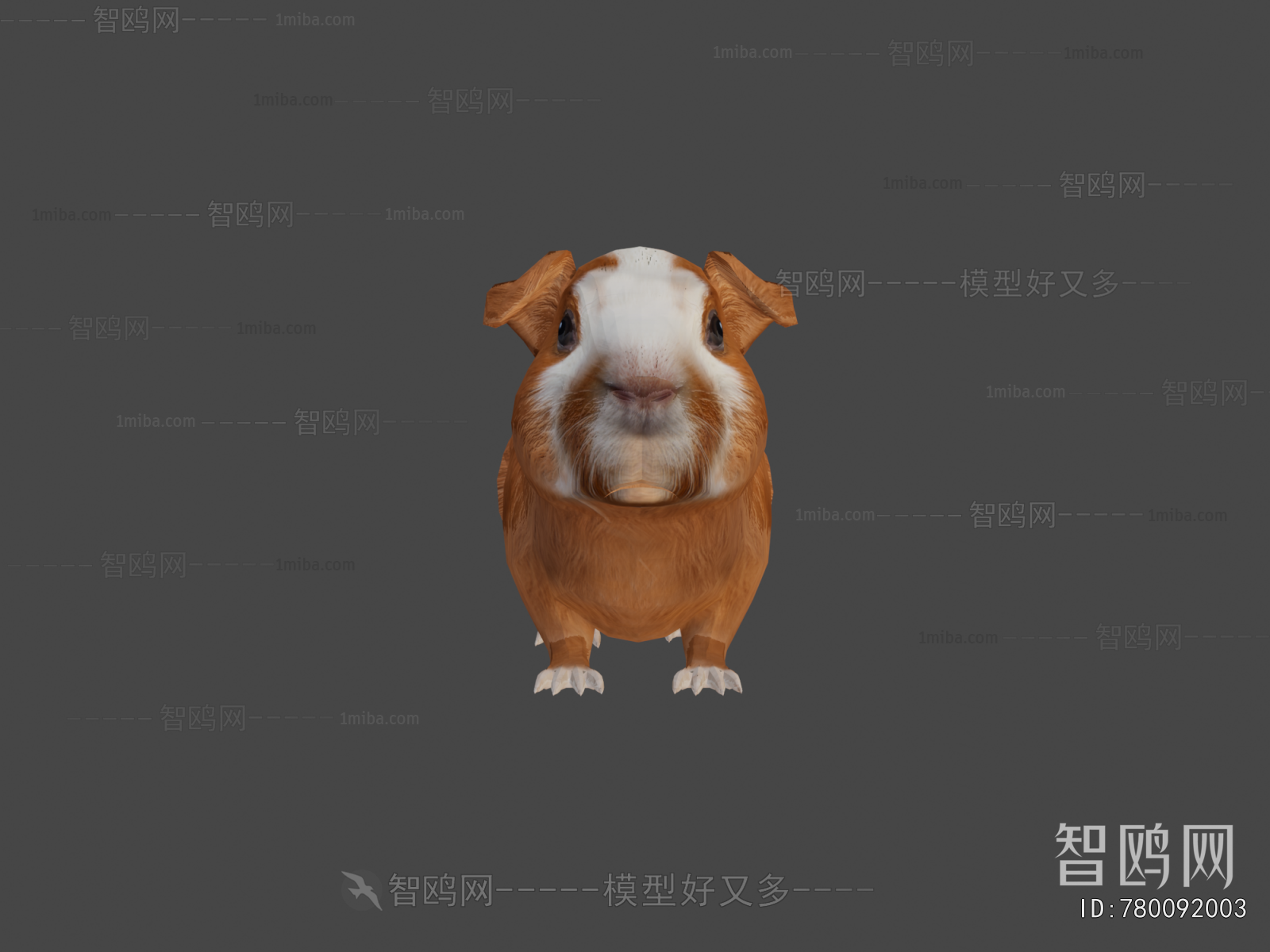 Modern Animal