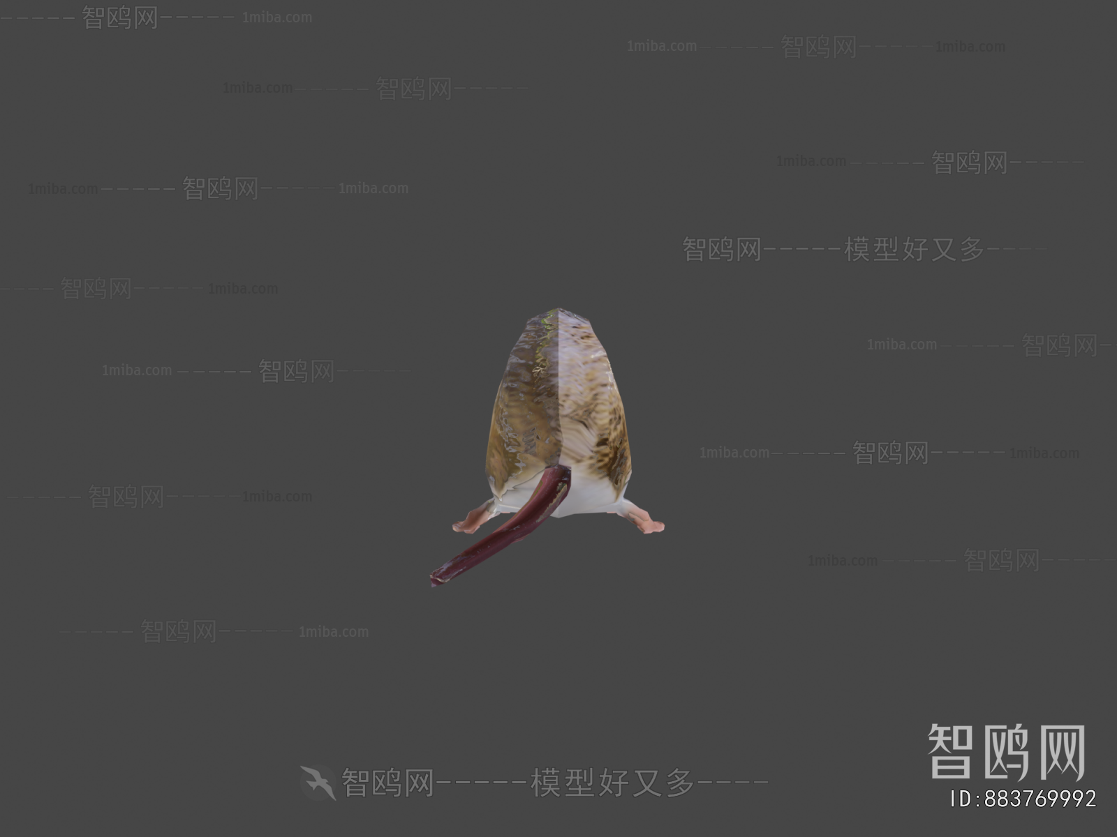 Modern Mammal