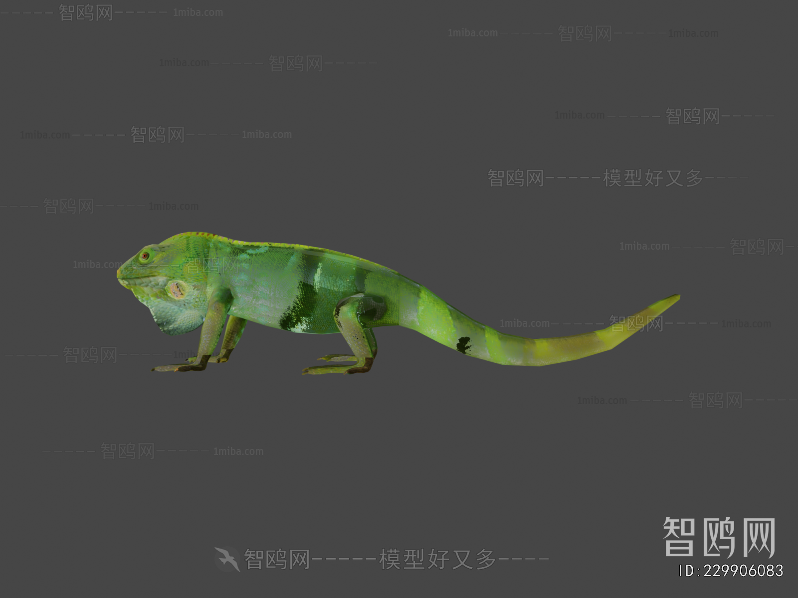 Modern Reptile