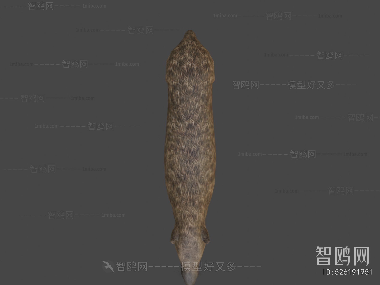 Modern Mammal