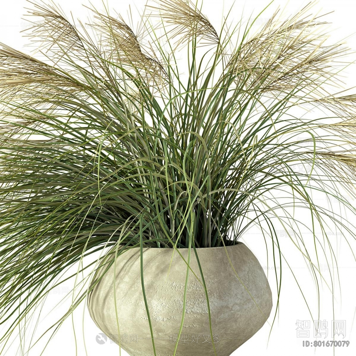 Modern Potted Green Plant