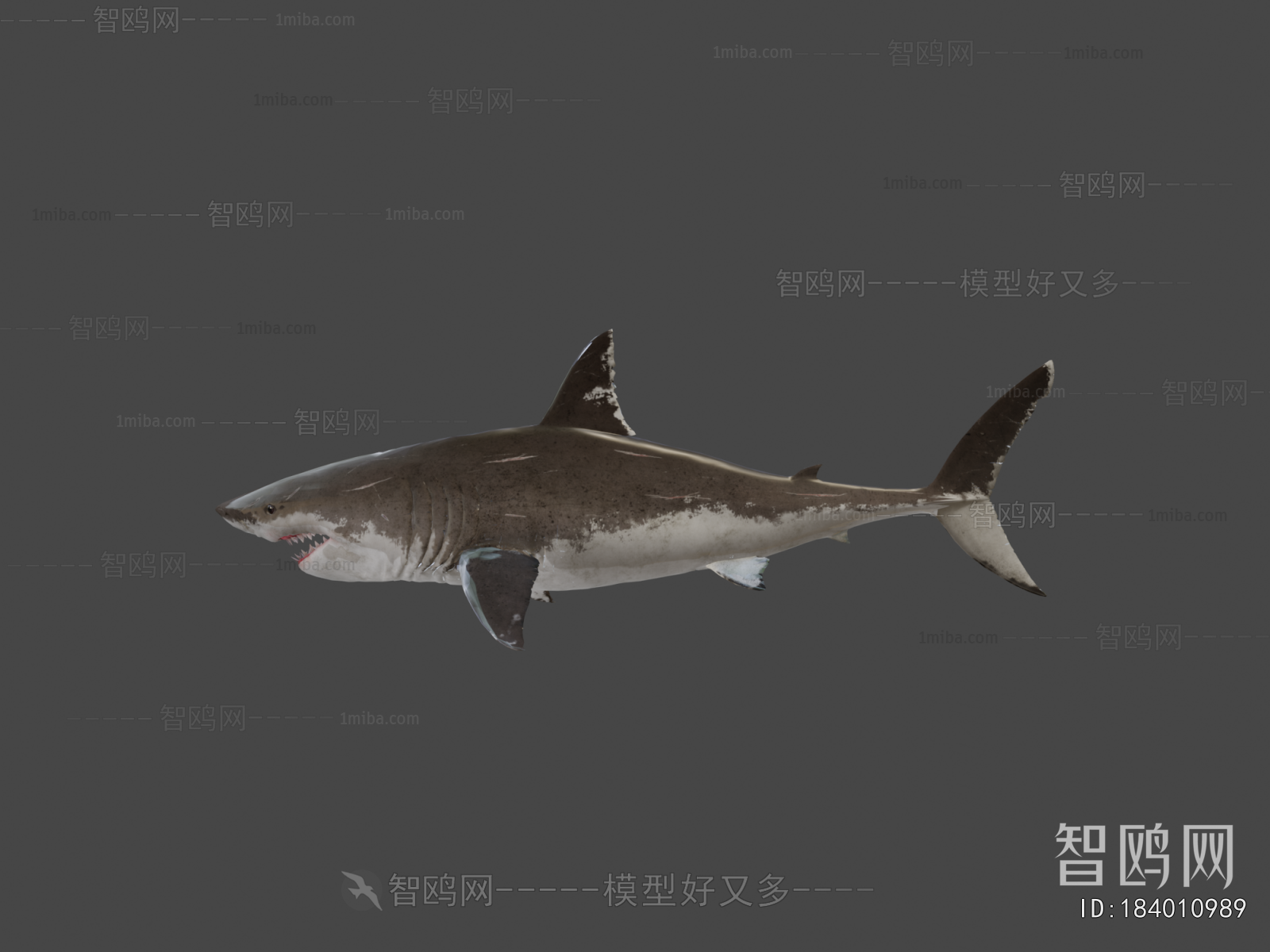Modern Animal
