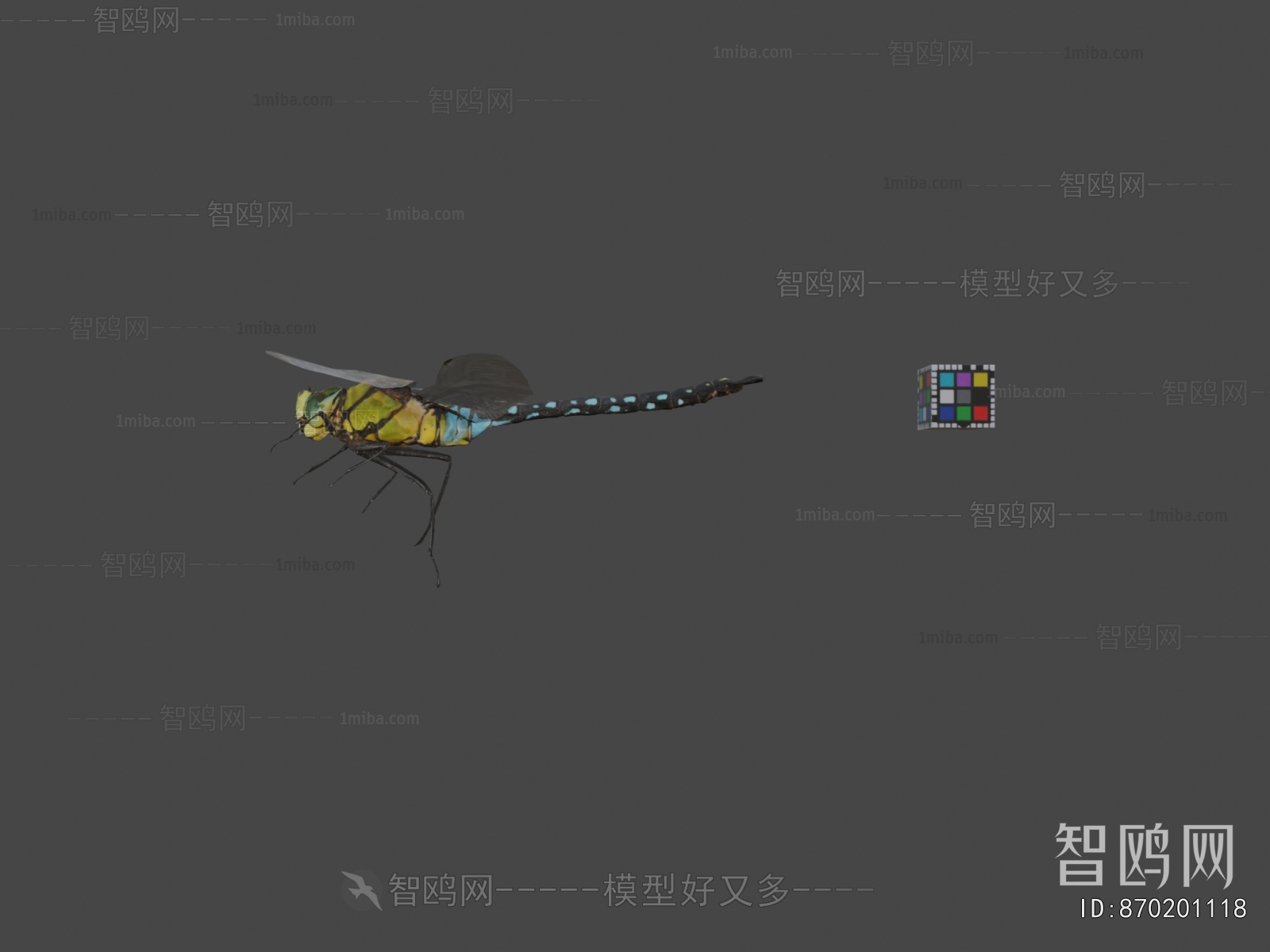 Modern Flying Animals
