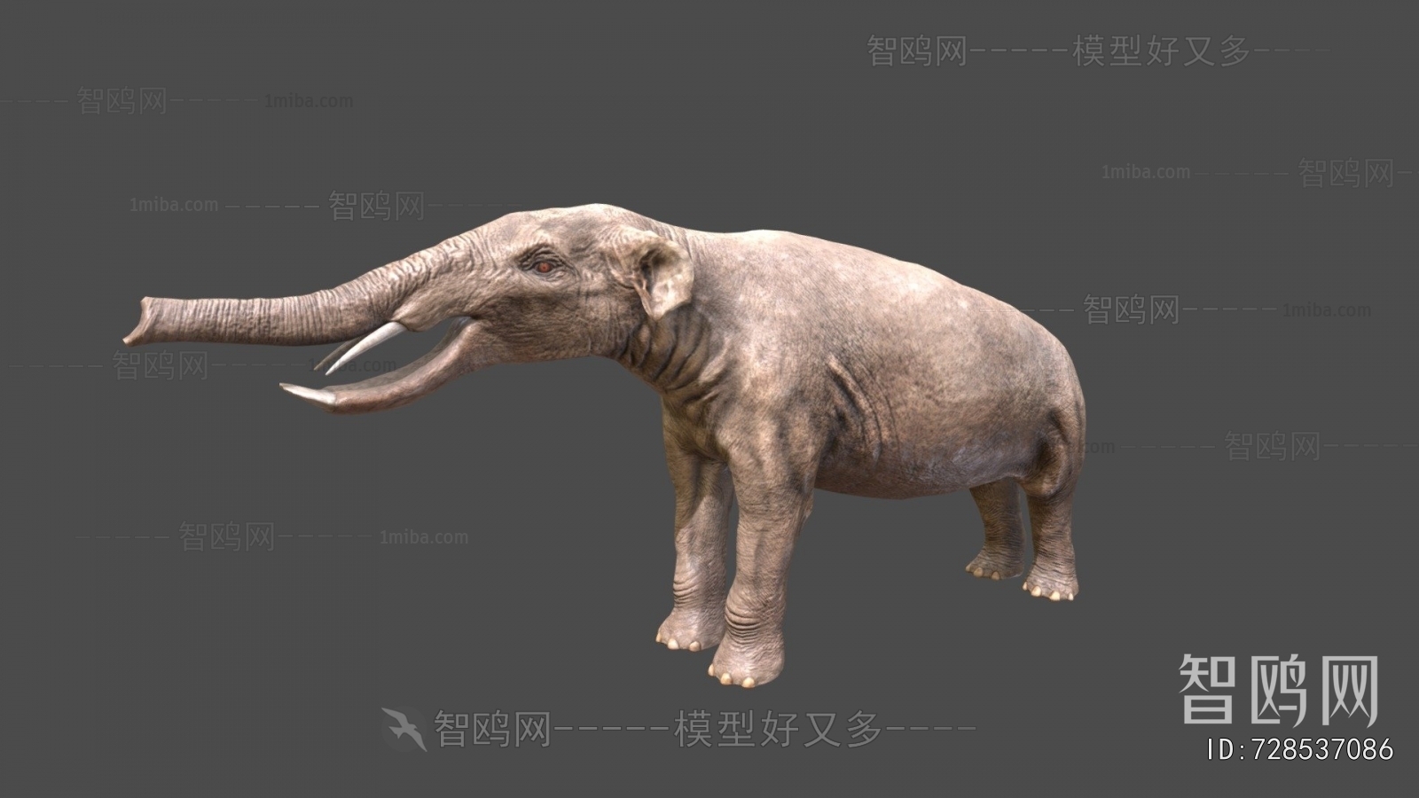 Modern Mammal