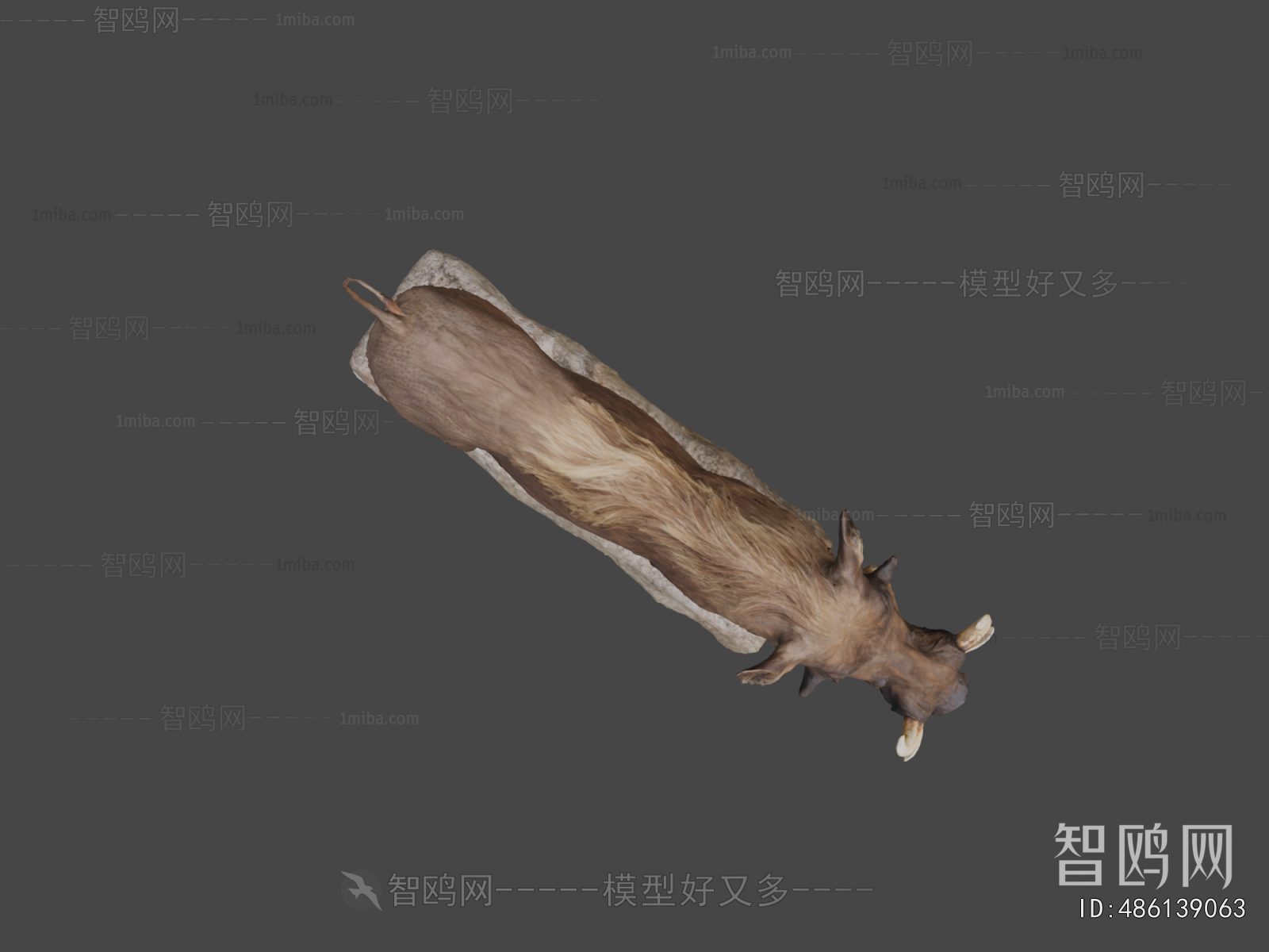 Modern Animal