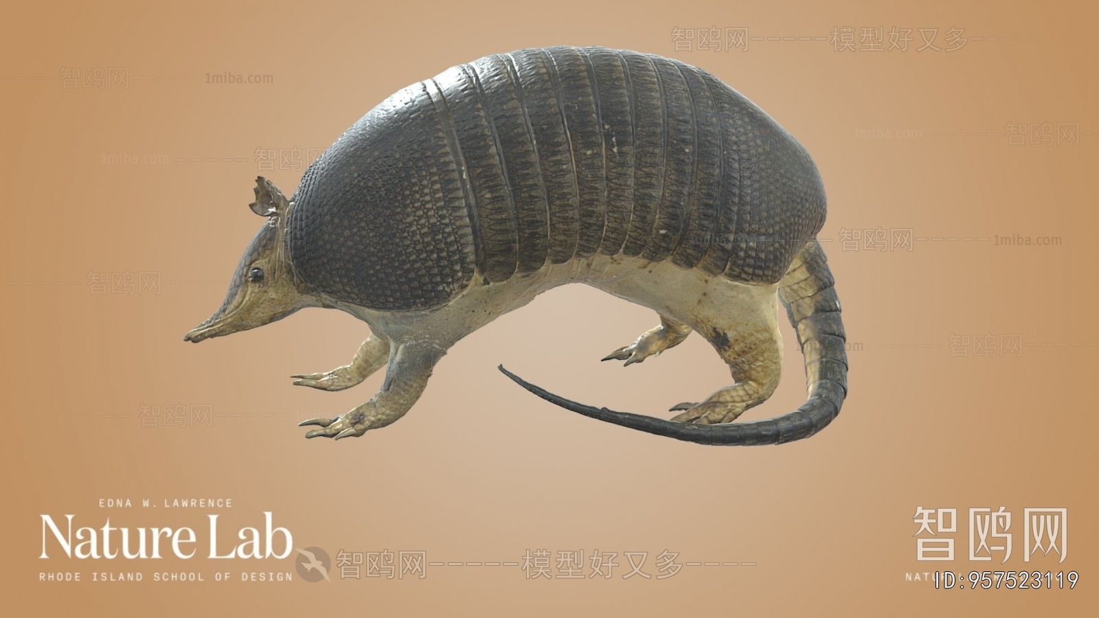 Modern Mammal