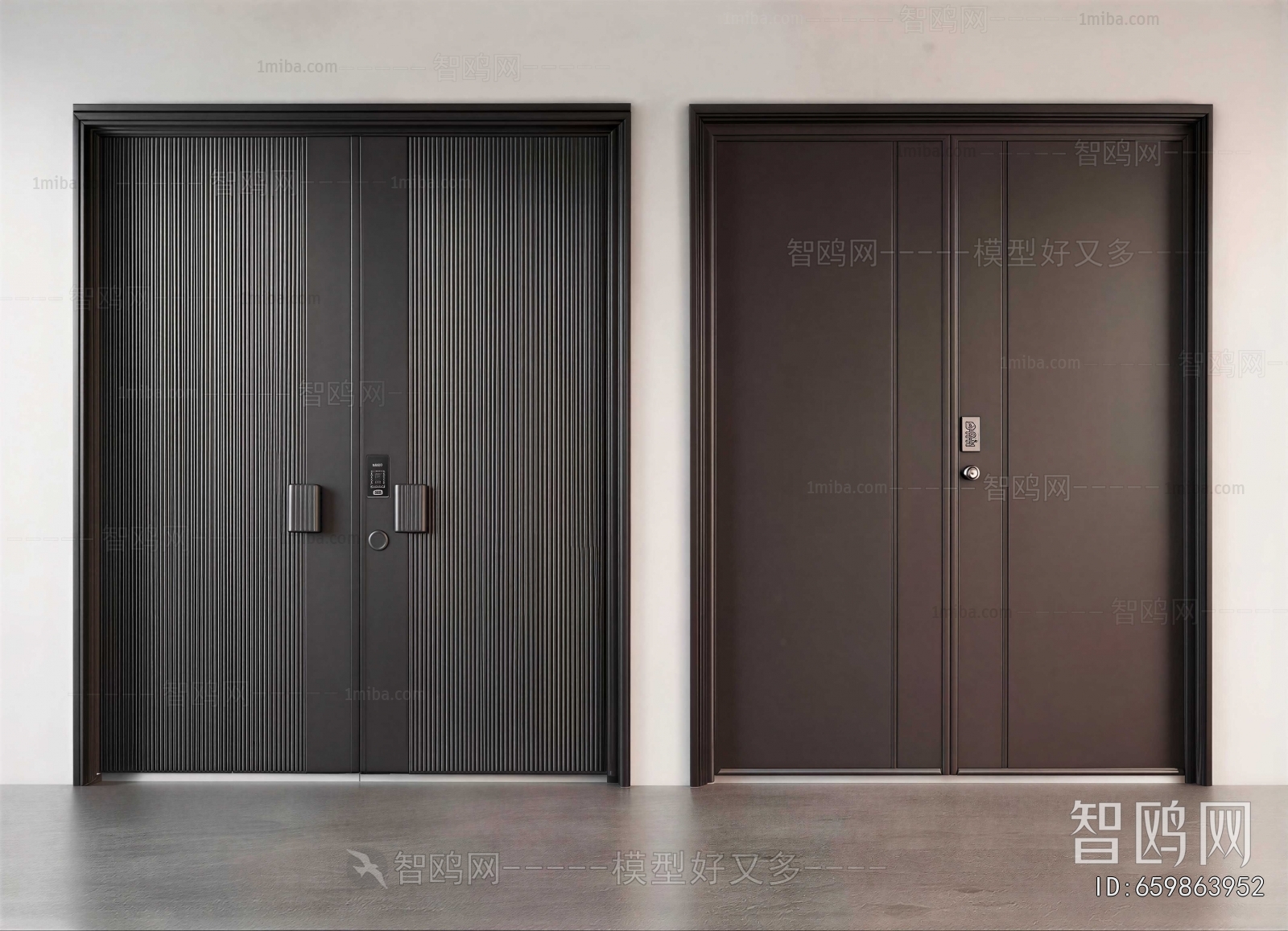 Modern Entrance Door