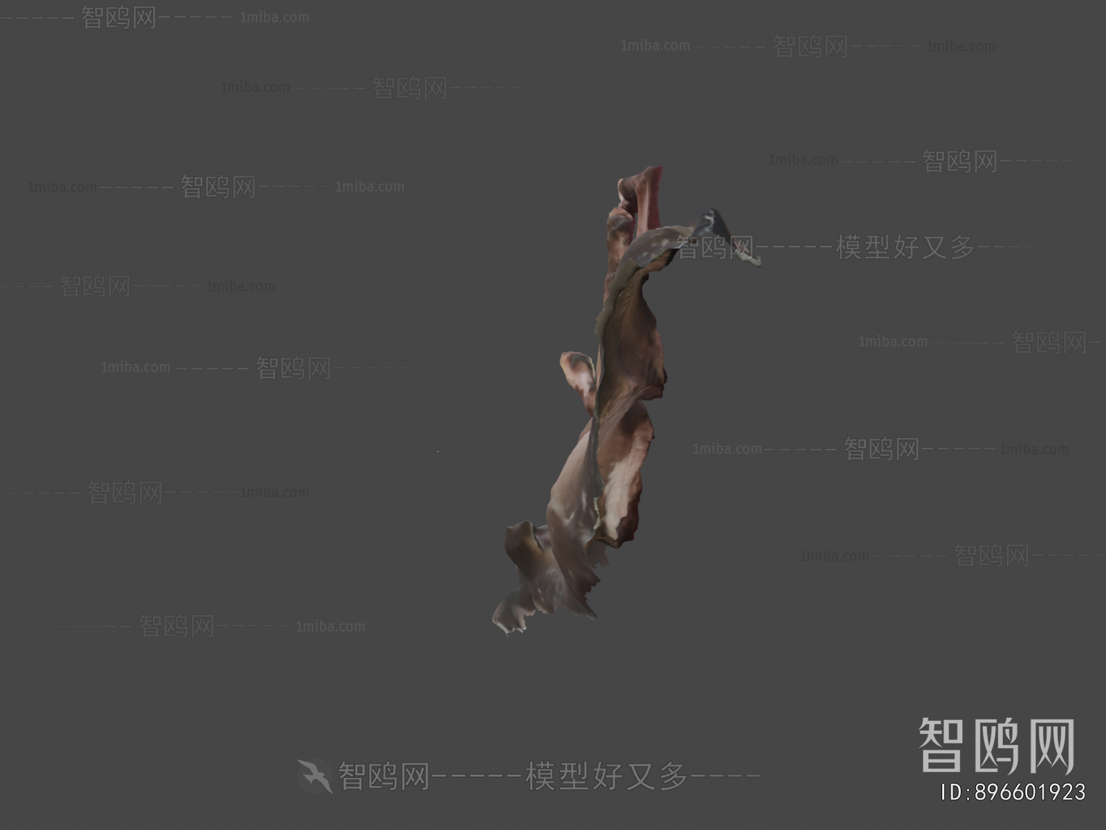 Modern Animal
