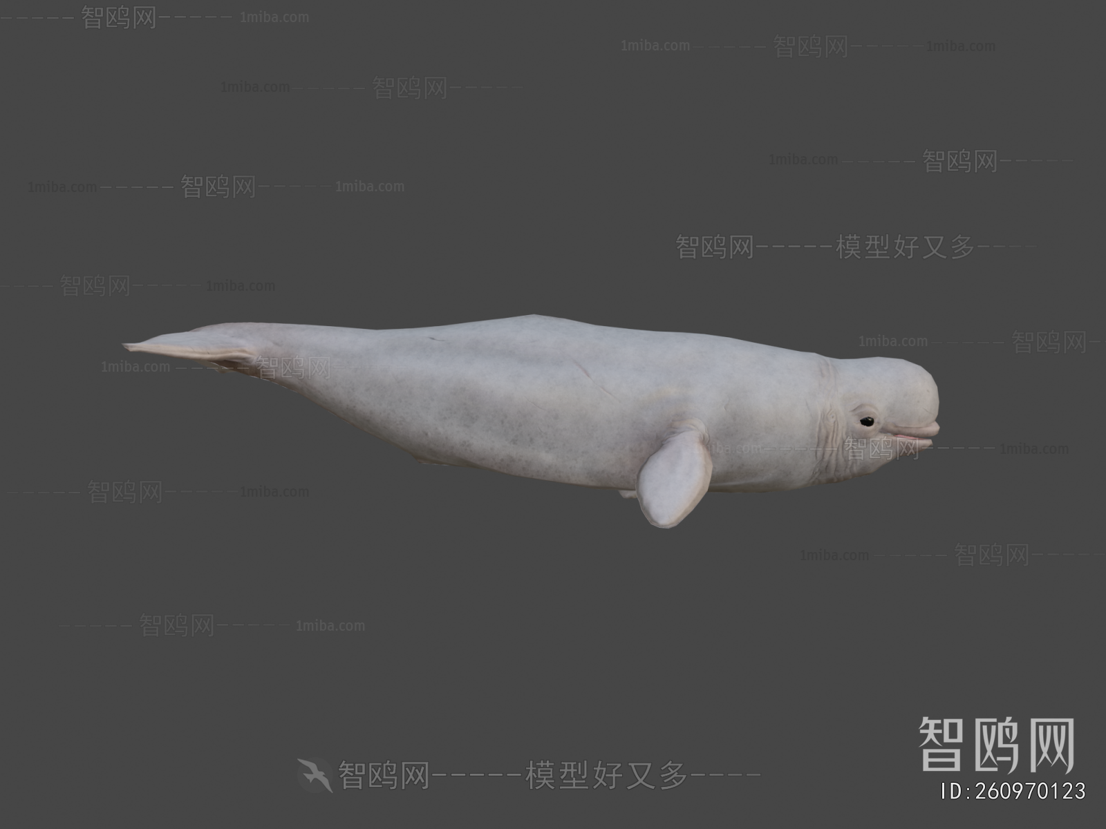 Modern Mammal